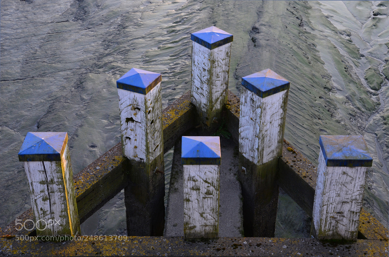 Nikon D5100 sample photo. Buffer photography