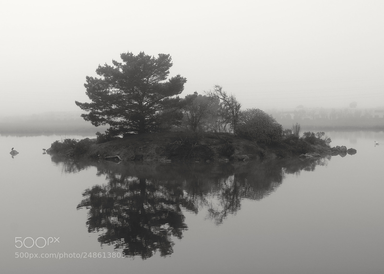 Canon EOS 750D (EOS Rebel T6i / EOS Kiss X8i) sample photo. A place of reflection photography
