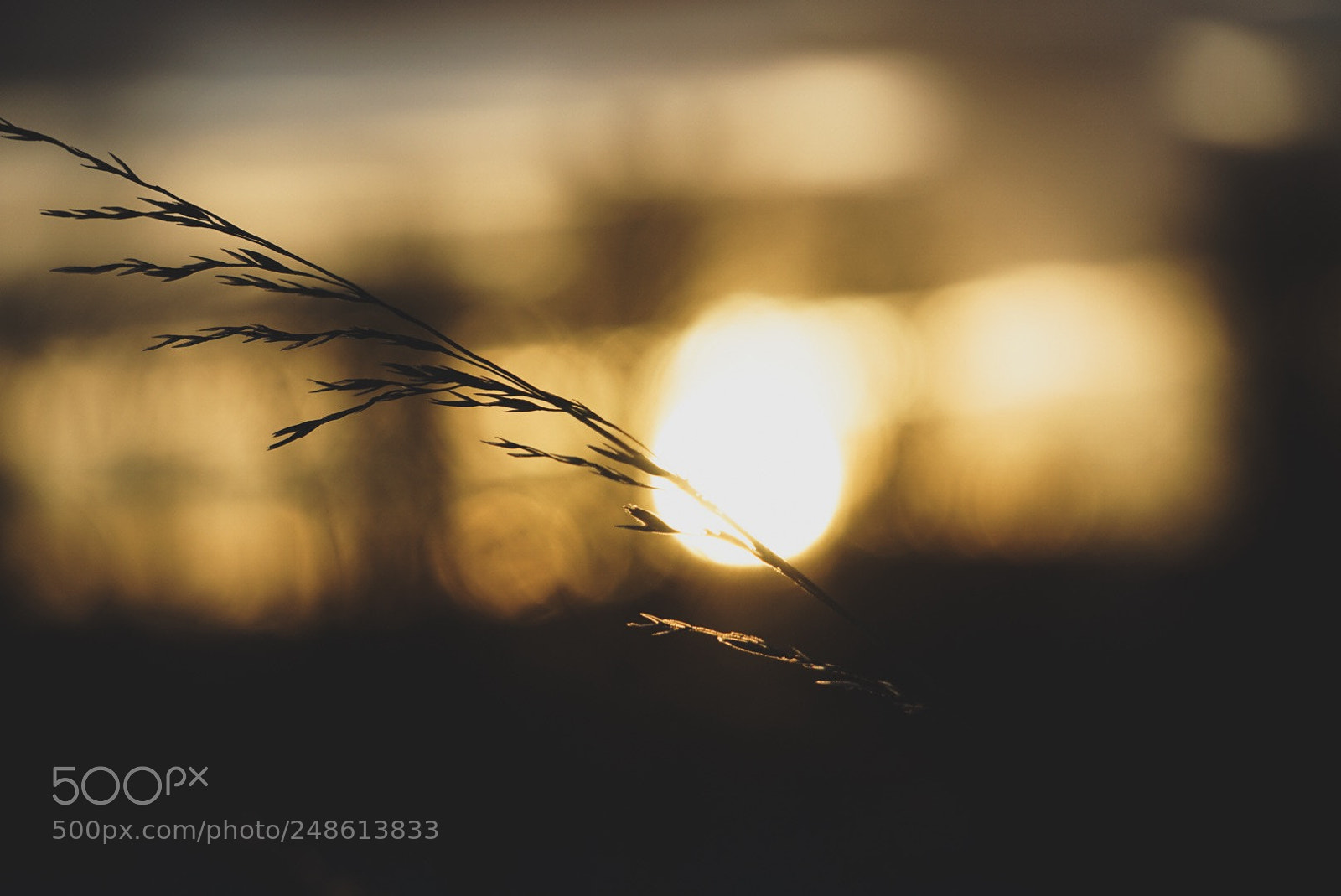 Sony a6000 sample photo. Sunset photography