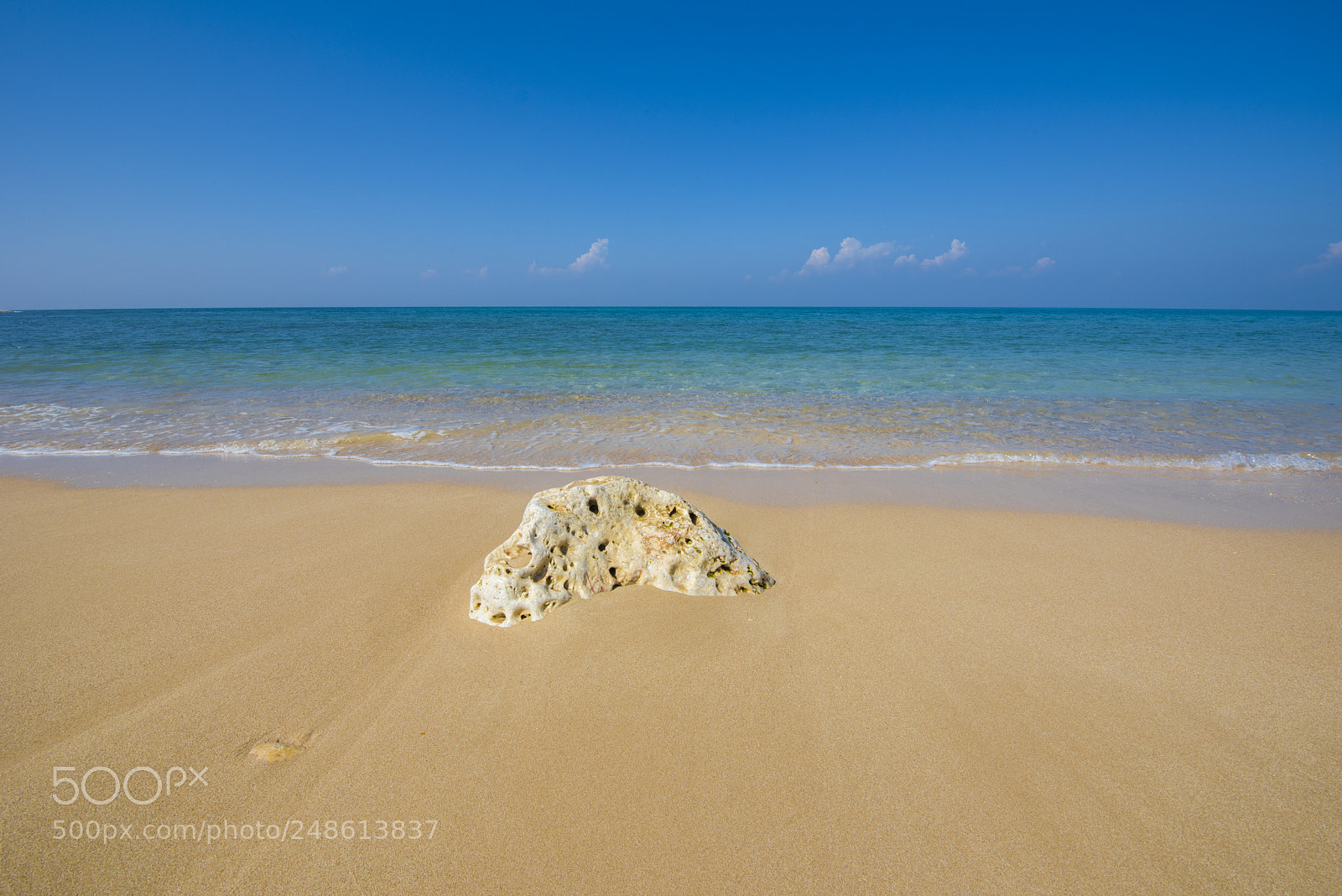 Nikon D810 sample photo. The chosen photography