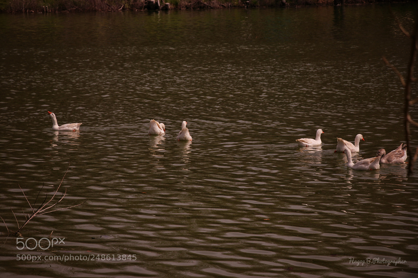 Canon EOS 80D sample photo. ? photography
