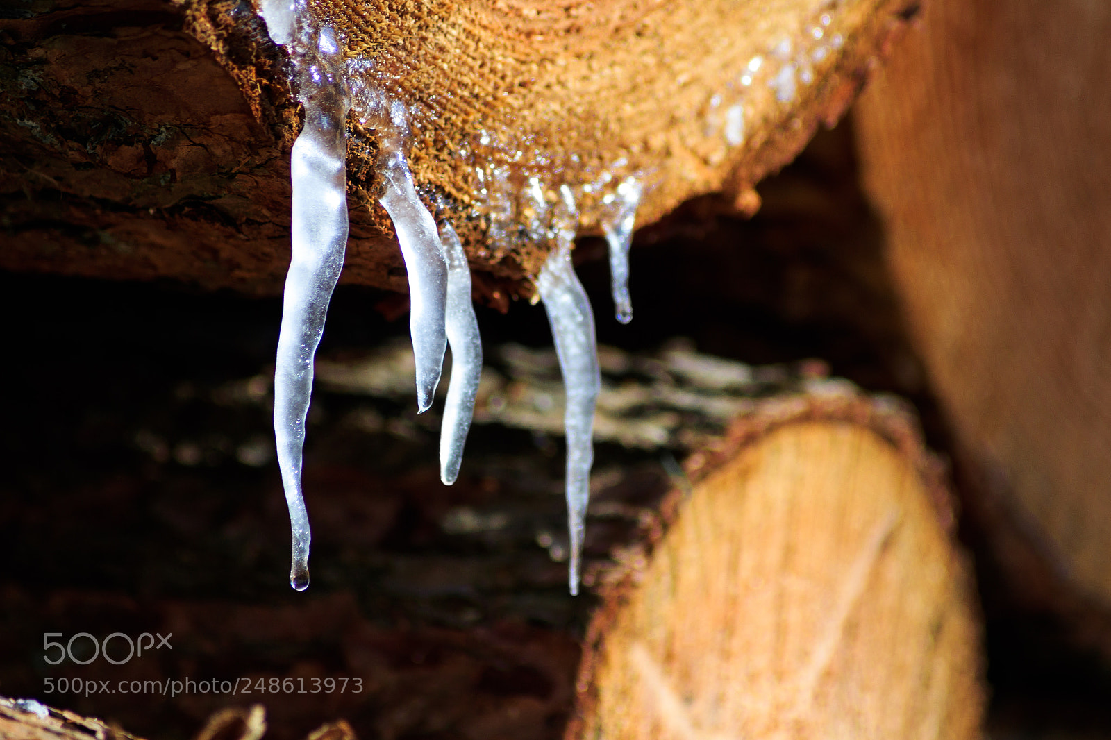 Canon EOS 1300D (EOS Rebel T6 / EOS Kiss X80) sample photo. Ice peaks on cutted photography