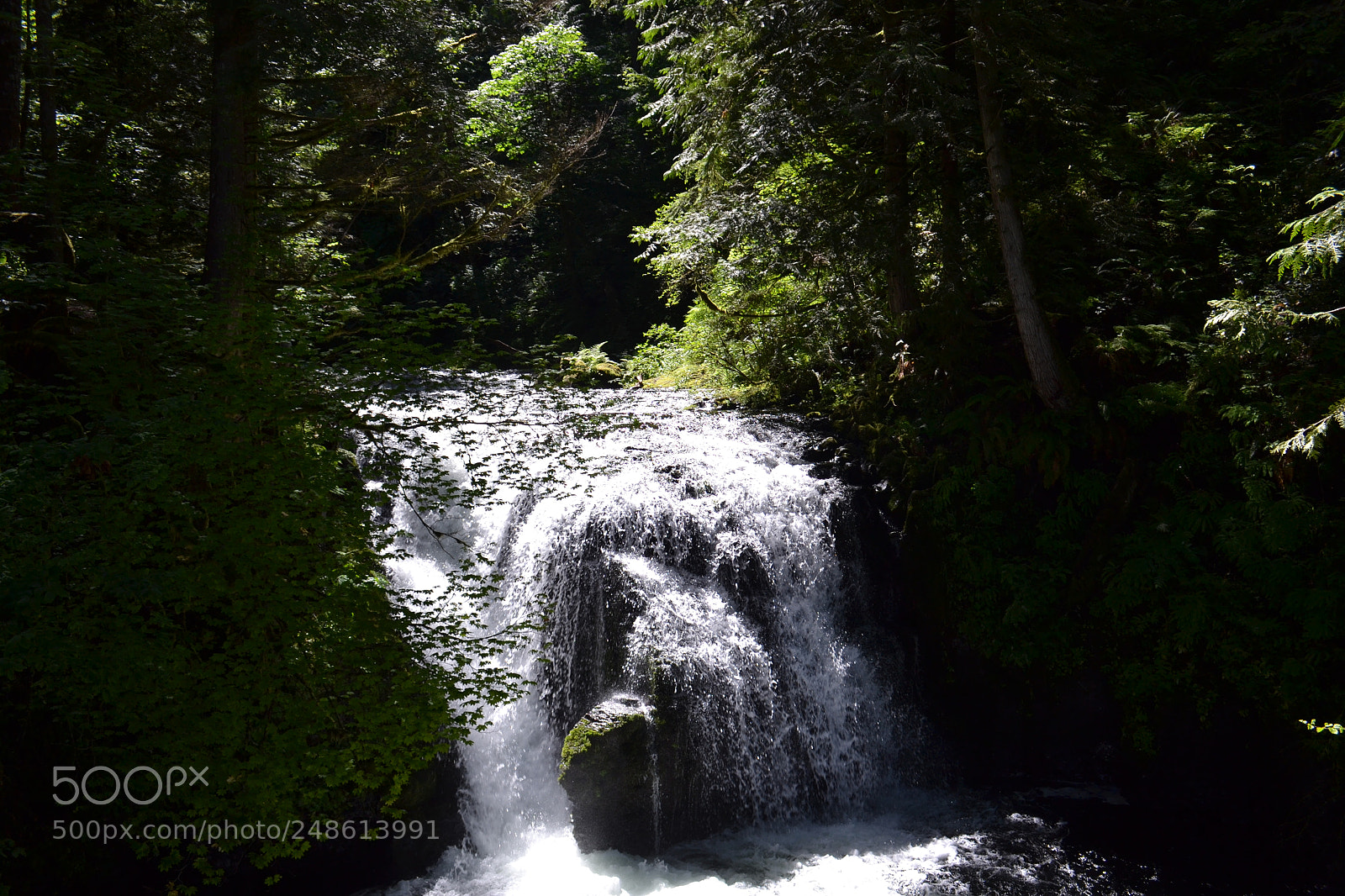 Nikon D3100 sample photo. Misty falls photography