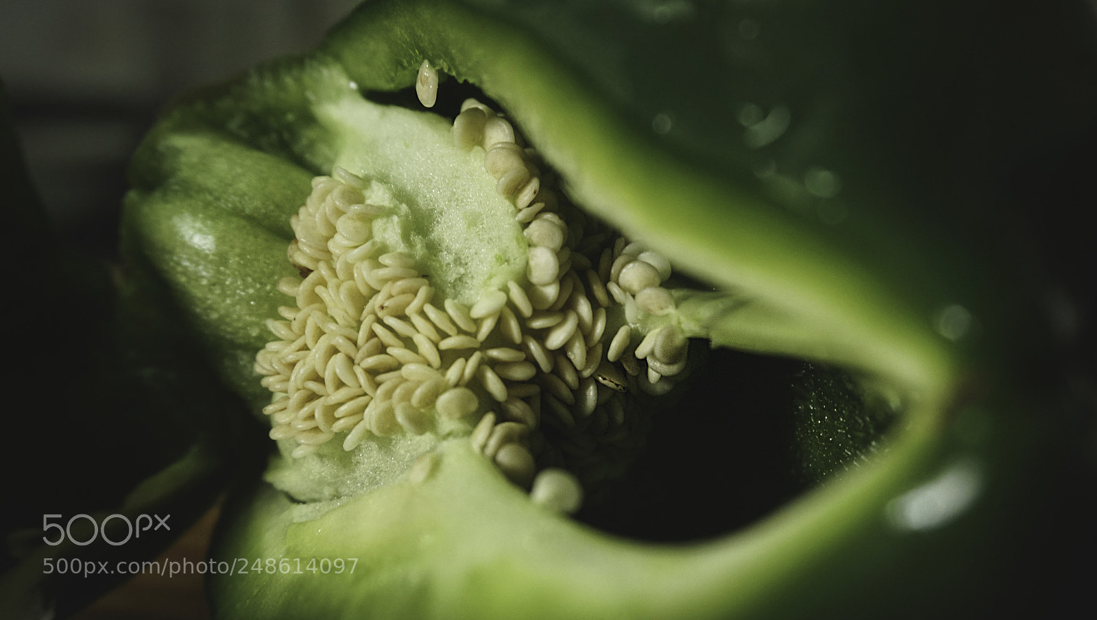 Sony a6300 sample photo. Semilla de guarda photography