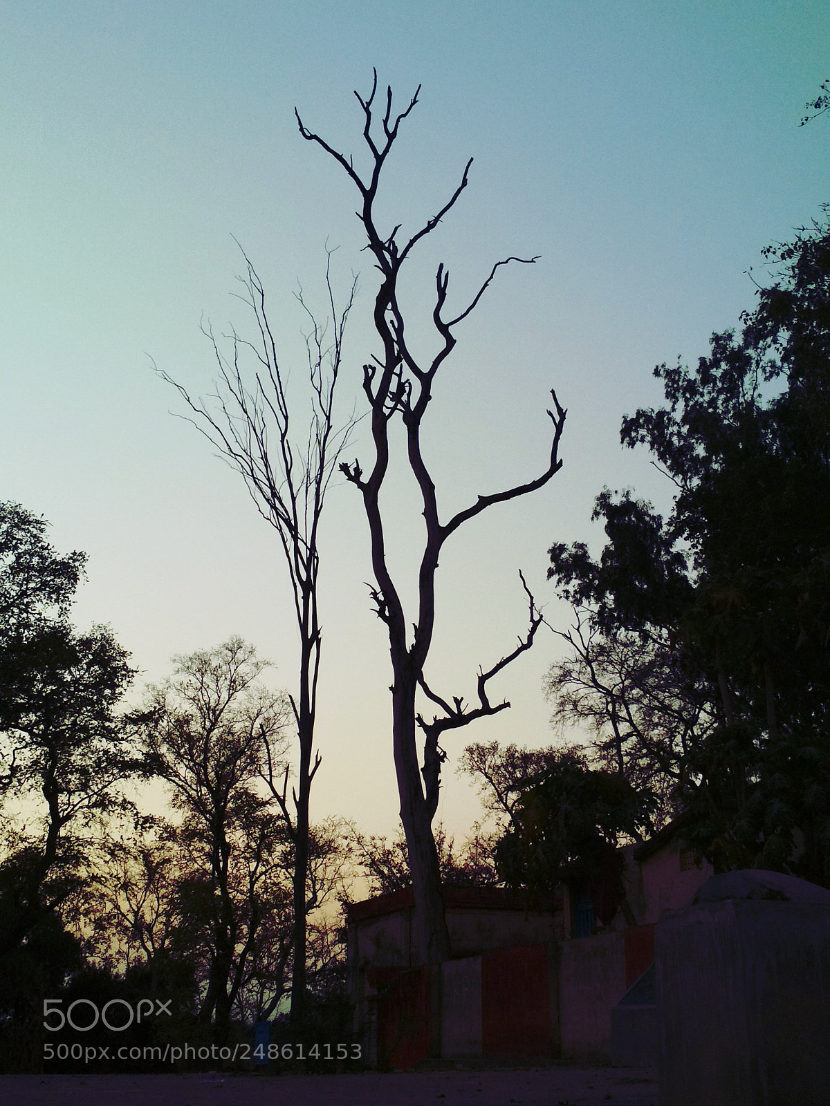 Xiaomi Redmi 4 Pro sample photo. Untitled photography