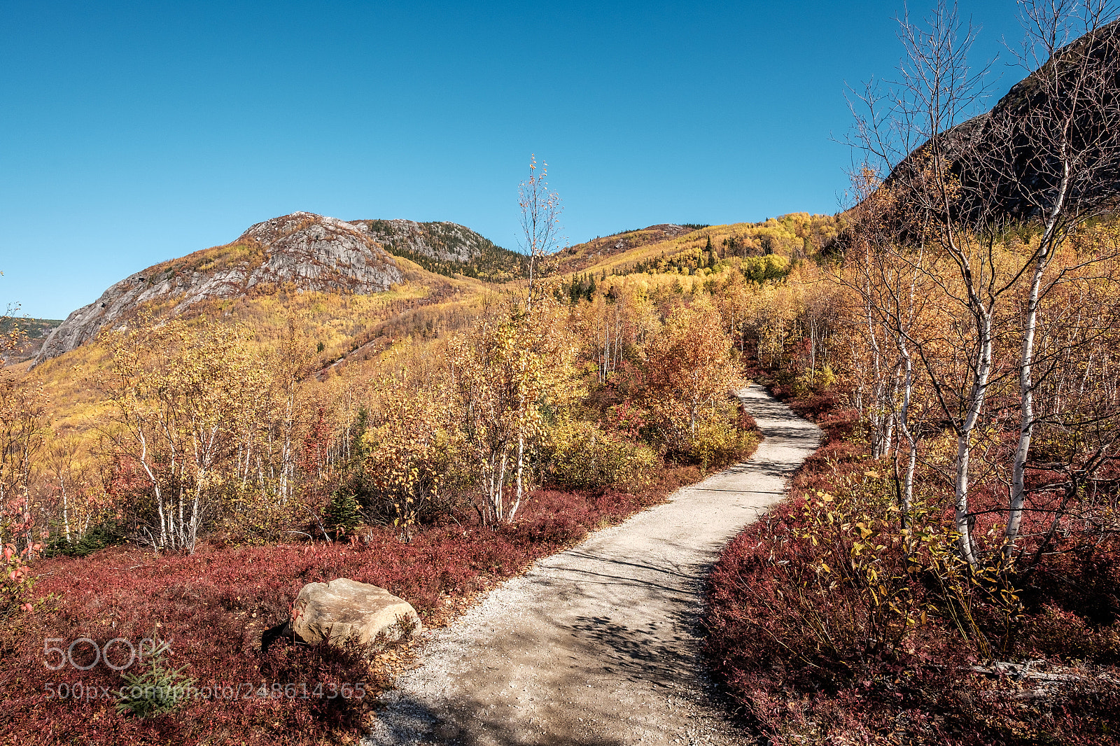 Fujifilm X-E2 sample photo. Parc national des grands photography