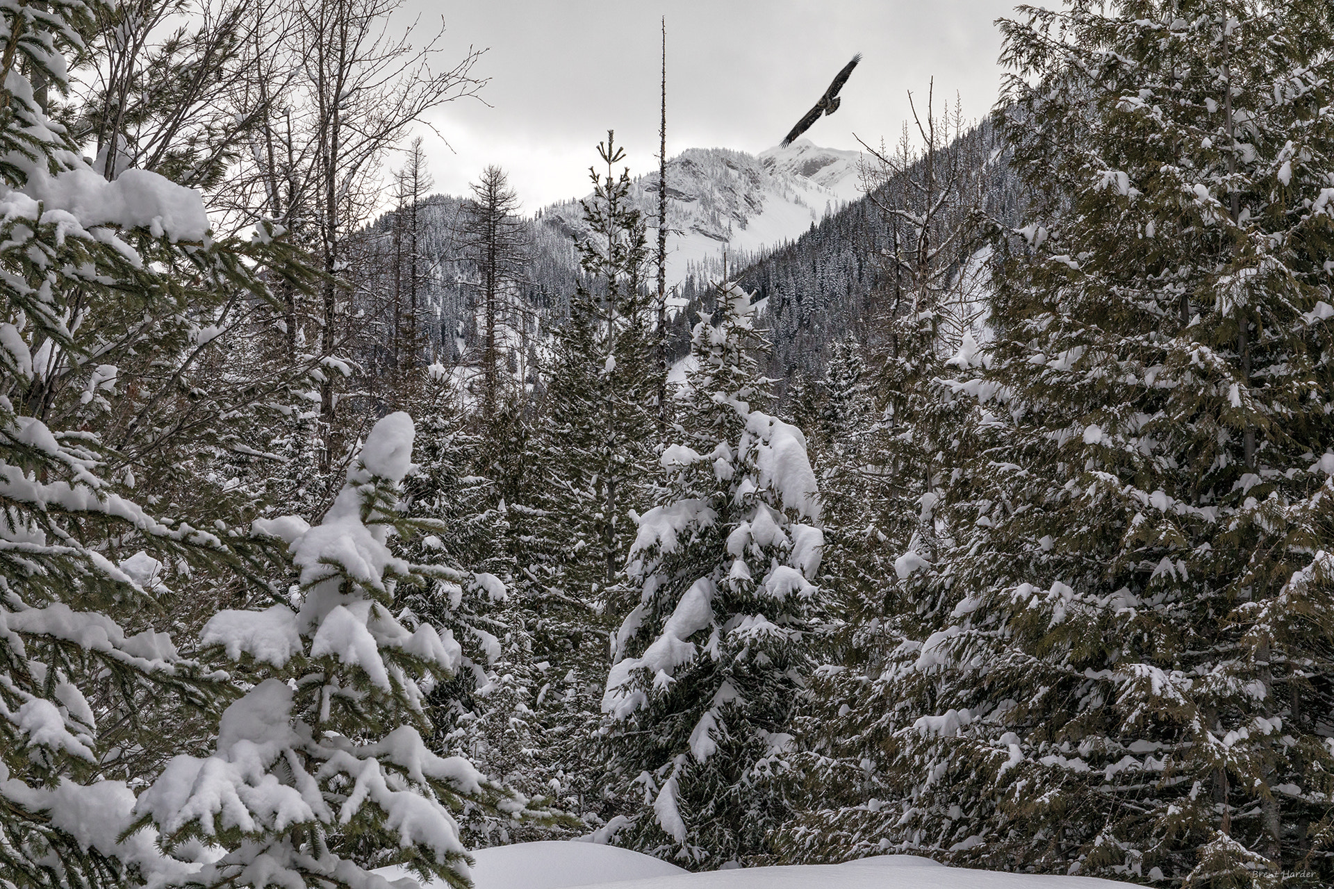 Canon EOS sample photo. Winter snow photography