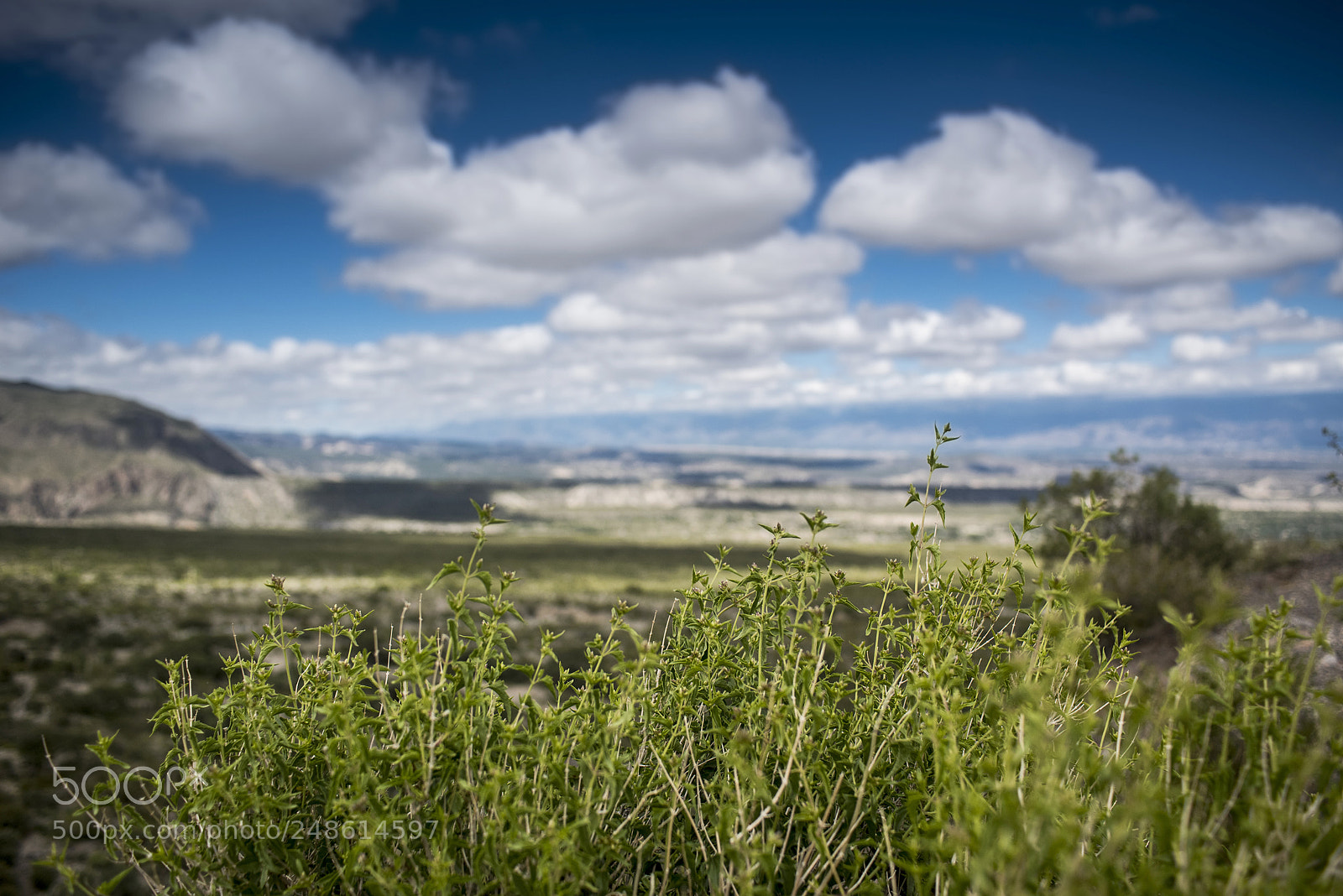 Nikon D810 sample photo. Mirador photography