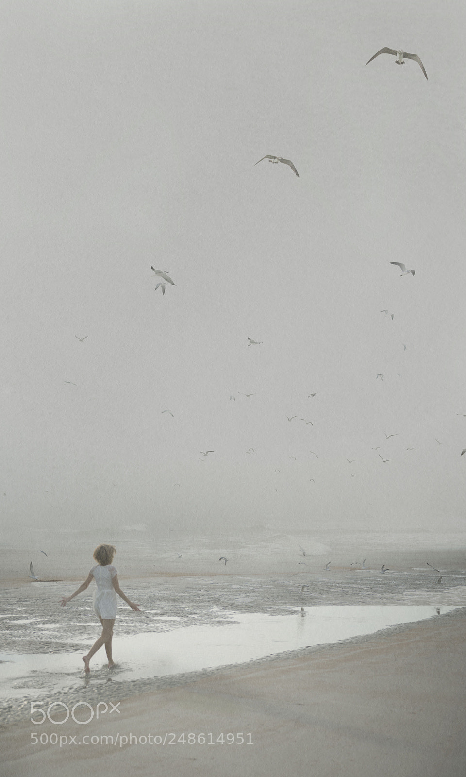 Nikon D800 sample photo. Anastasia with birds photography