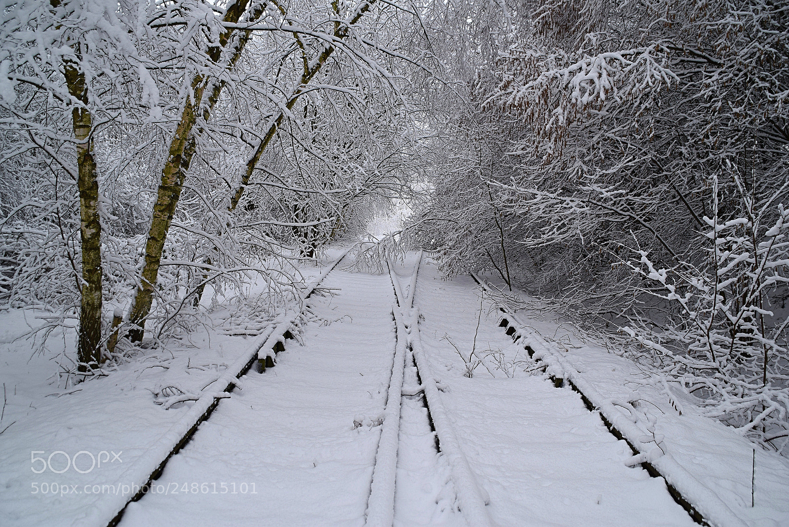 Nikon D5300 sample photo. Winterwonderworld in march photography