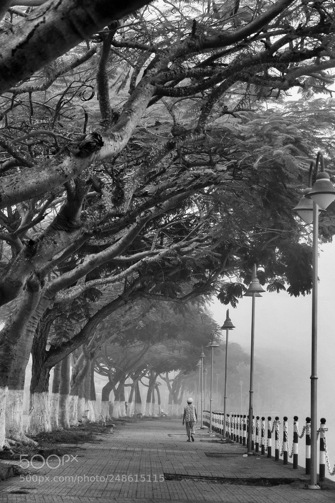 Sony a6000 sample photo. A woman exercised on photography