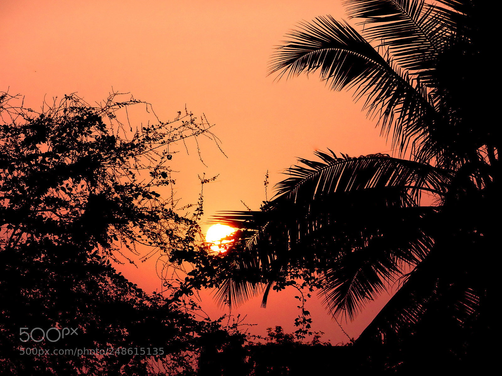 Sony Cyber-shot DSC-HX90V sample photo. Sun rising behind the photography