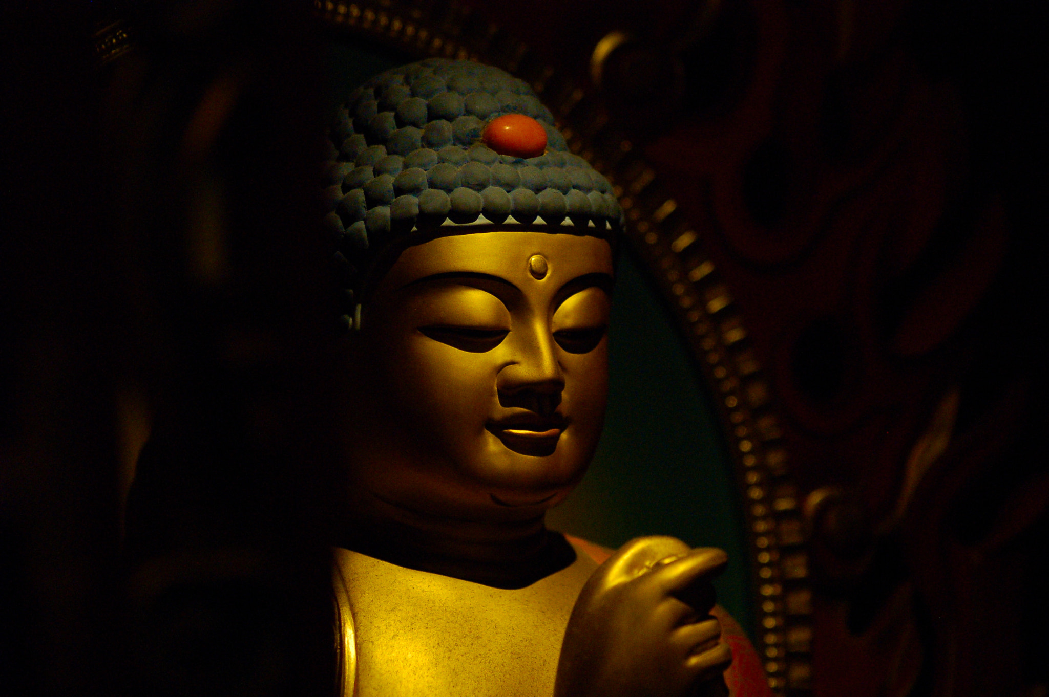 Nikon AF Nikkor 70-300mm F4-5.6G sample photo. On the spotlight photography