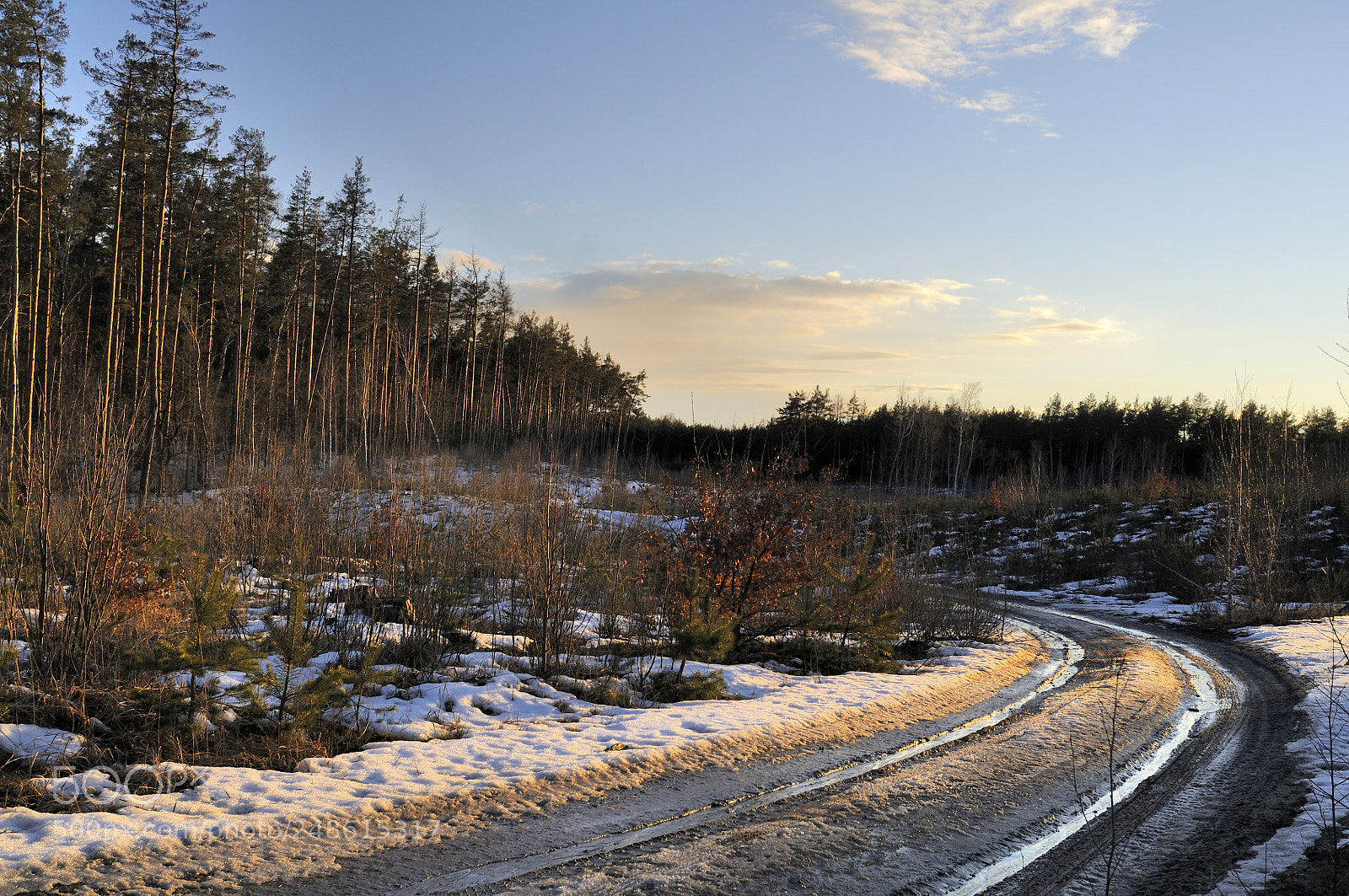 Nikon D300S sample photo. Spring road photography