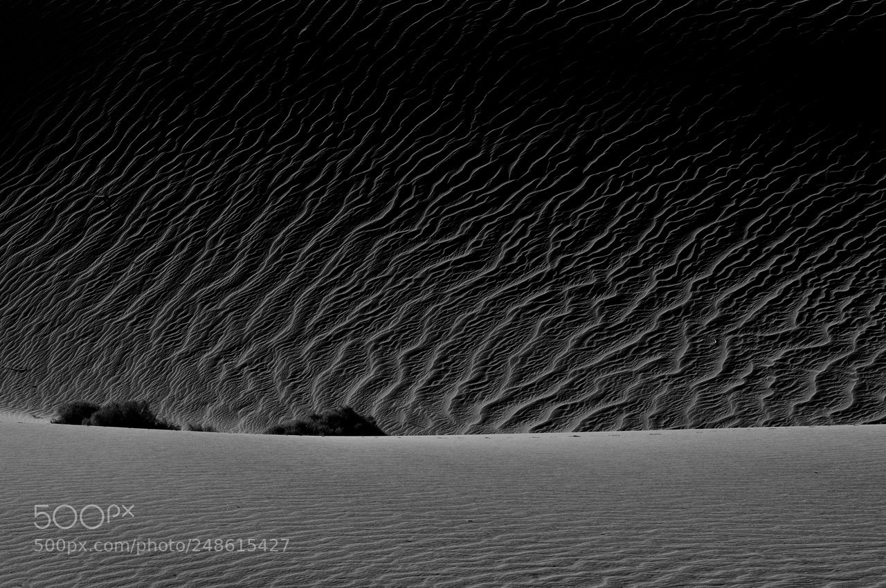 Nikon D300 sample photo. Sand dune photography