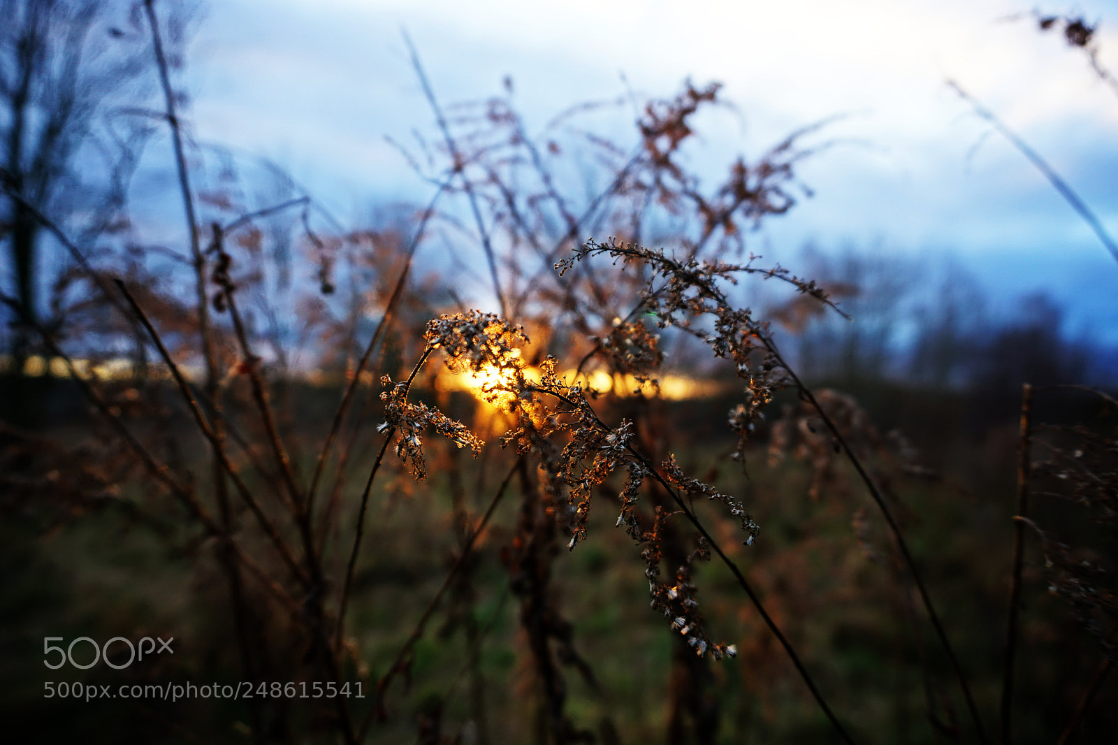 Sony a6000 sample photo. Glühenderpunkt photography