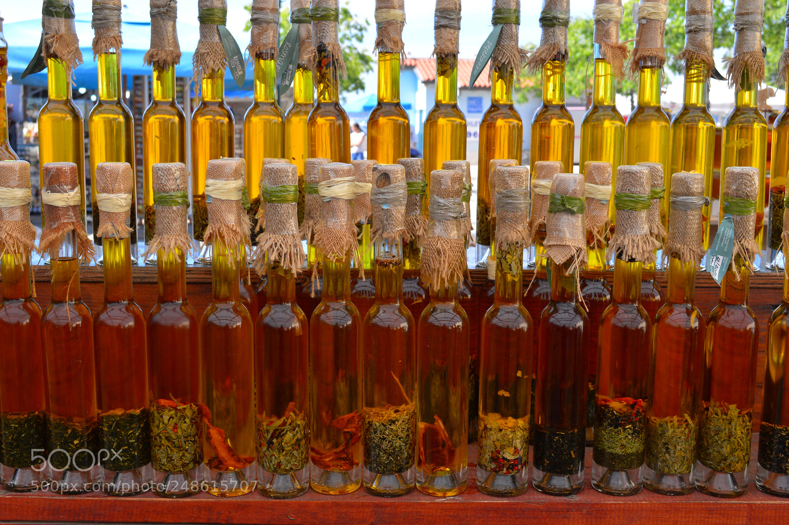Nikon D3200 sample photo. 602.jpg photography