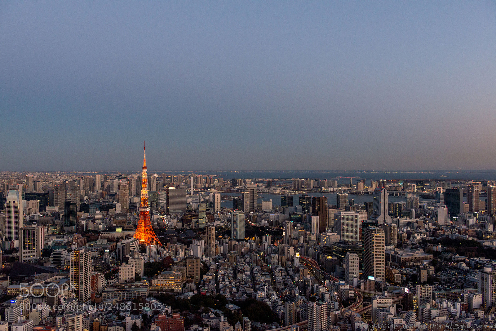 Nikon D800 sample photo. Dsc_tokyotower1 photography