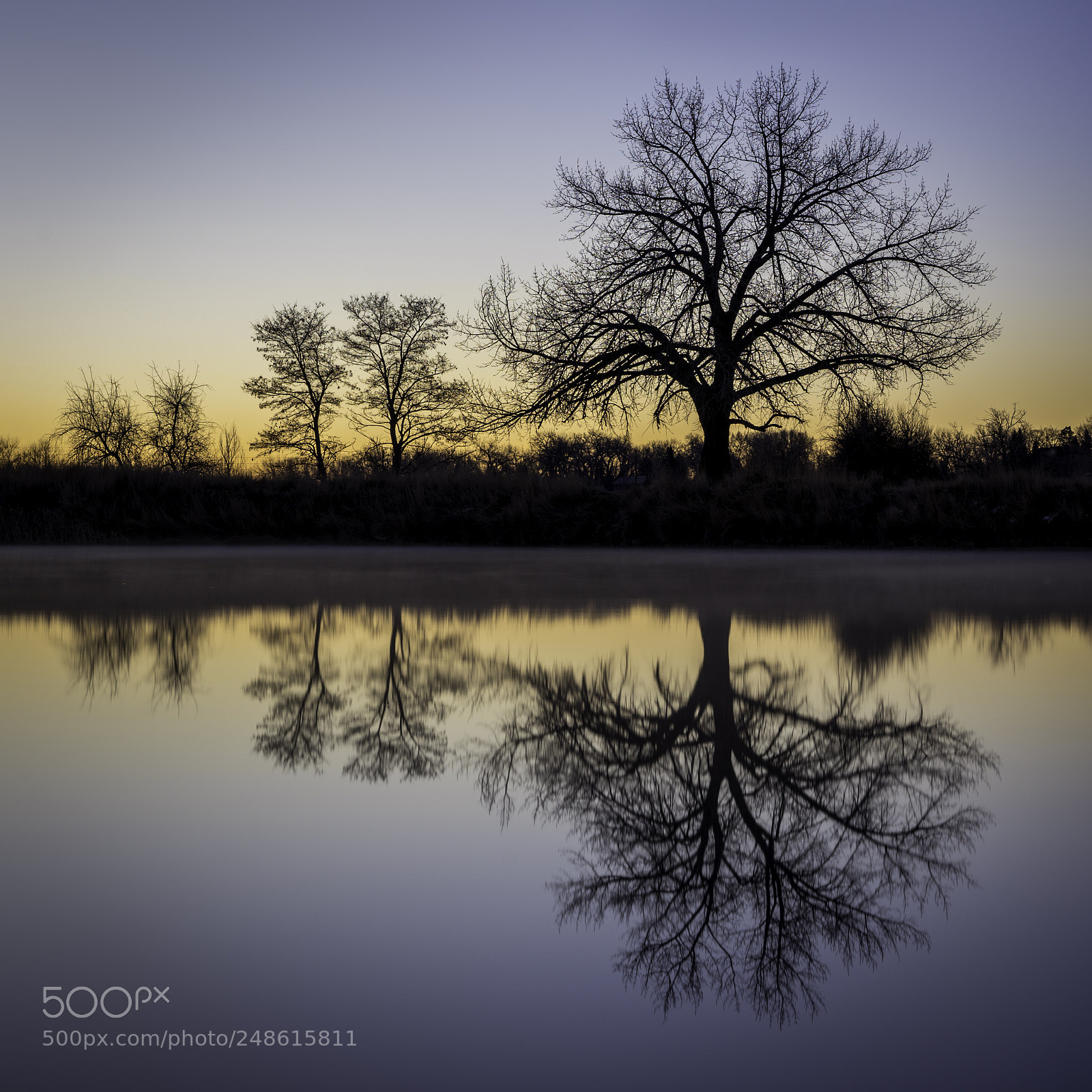 Sony a7 II sample photo. Morning reflections photography