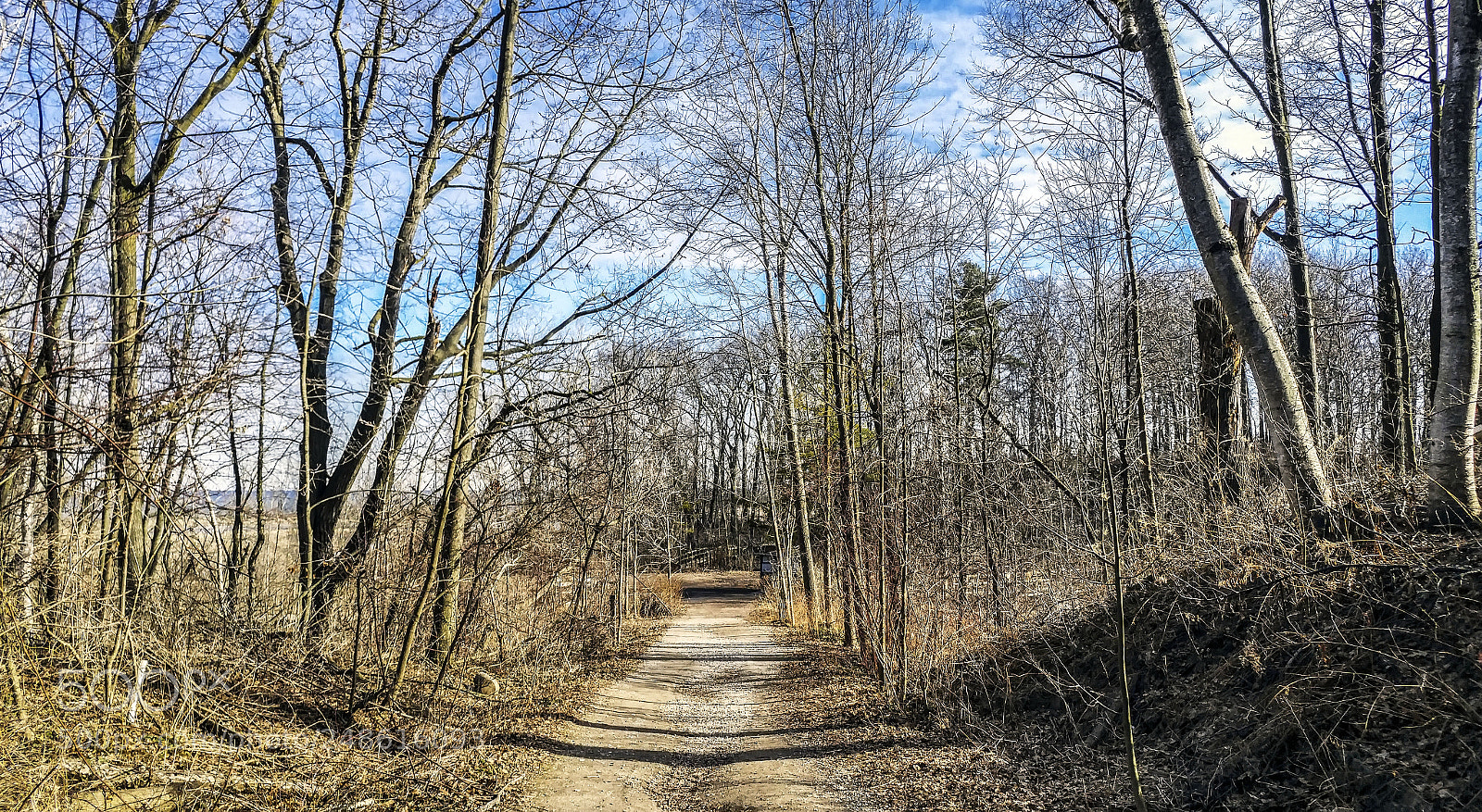 LG G5 sample photo. Rattray marsh photography