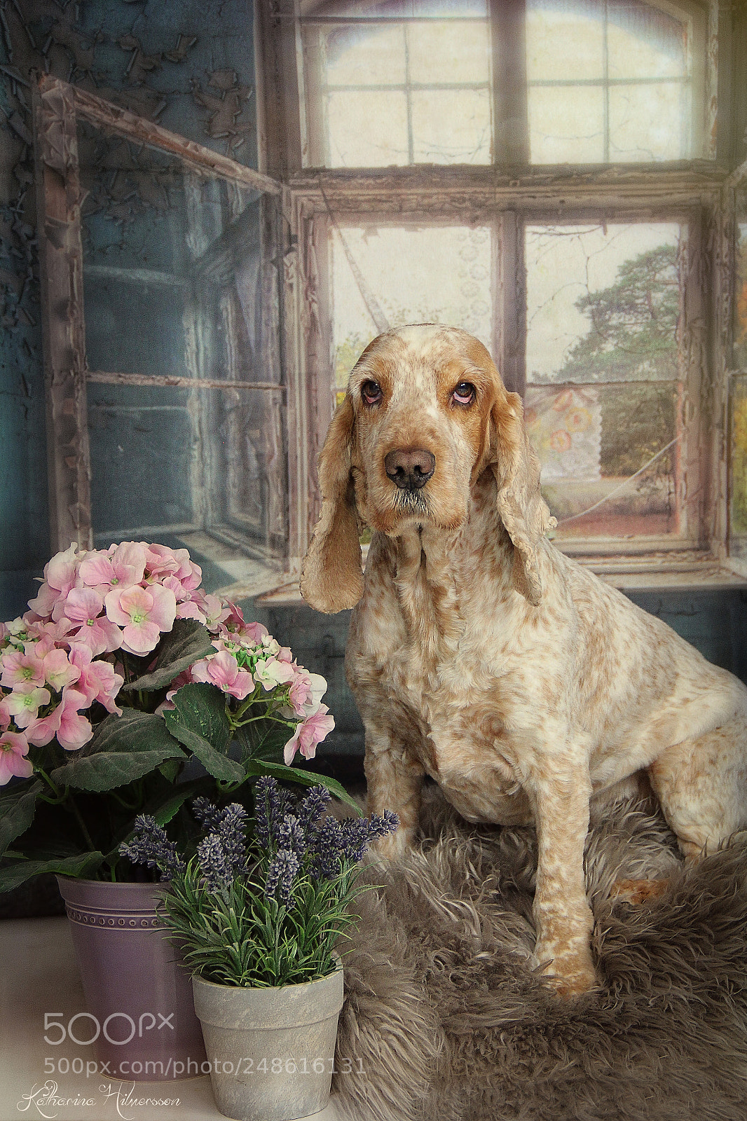 Canon EOS 60D sample photo. Lucas and the window photography