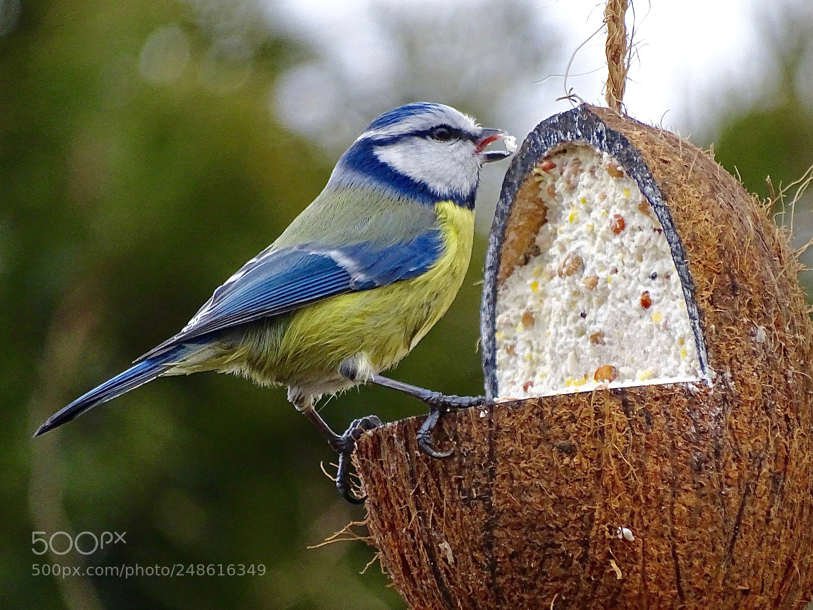 Sony Cyber-shot DSC-HX400V sample photo. Snack time photography