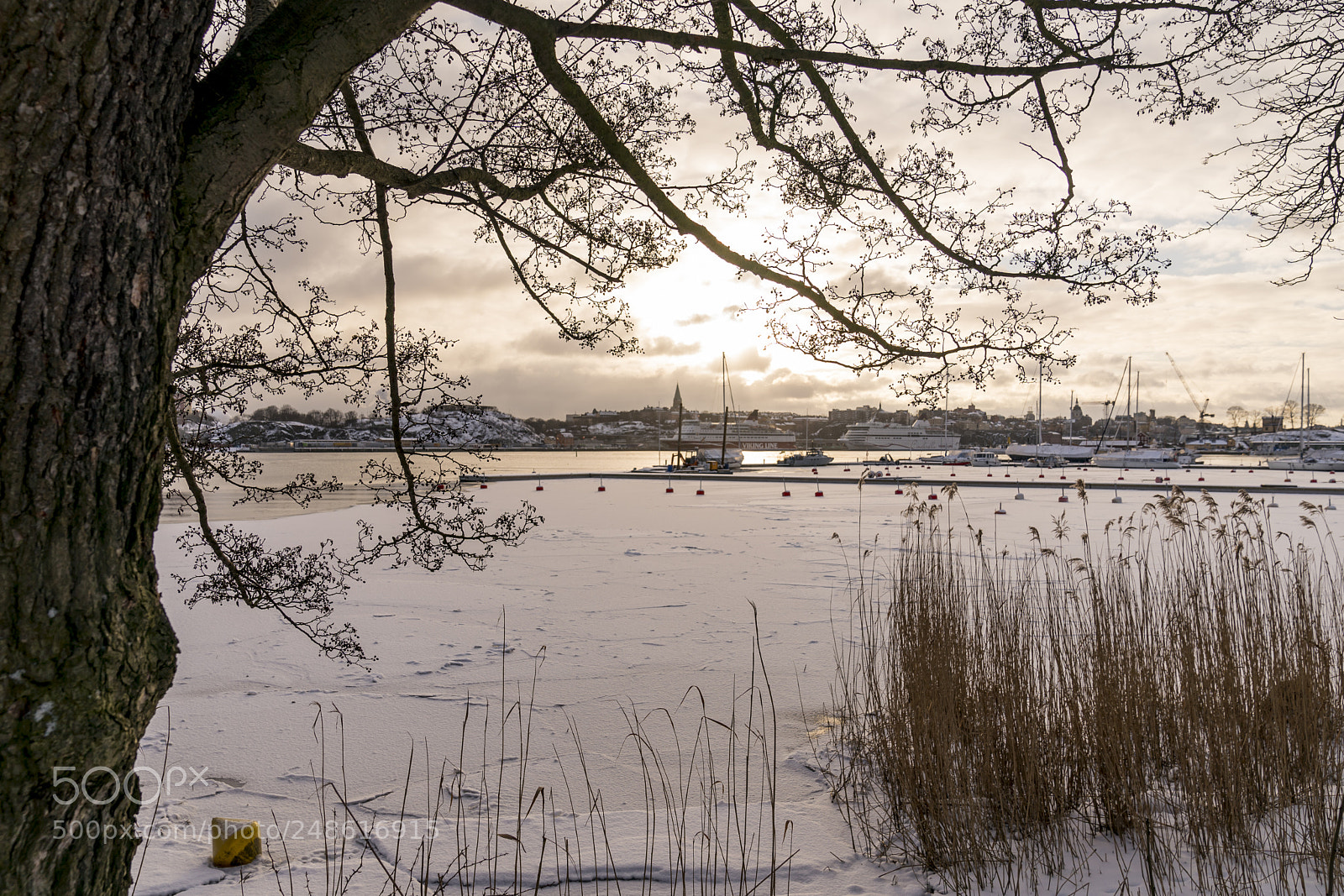 Sony a9 sample photo. Window to calm photography