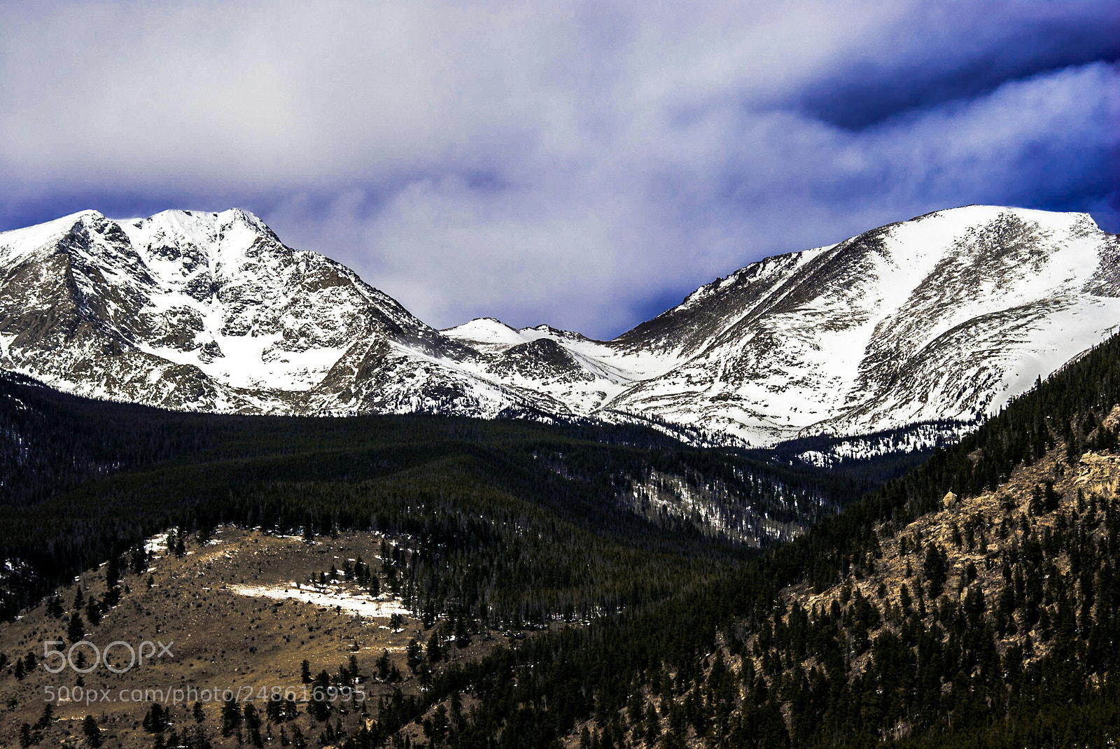 Nikon D3000 sample photo. Untitled photography