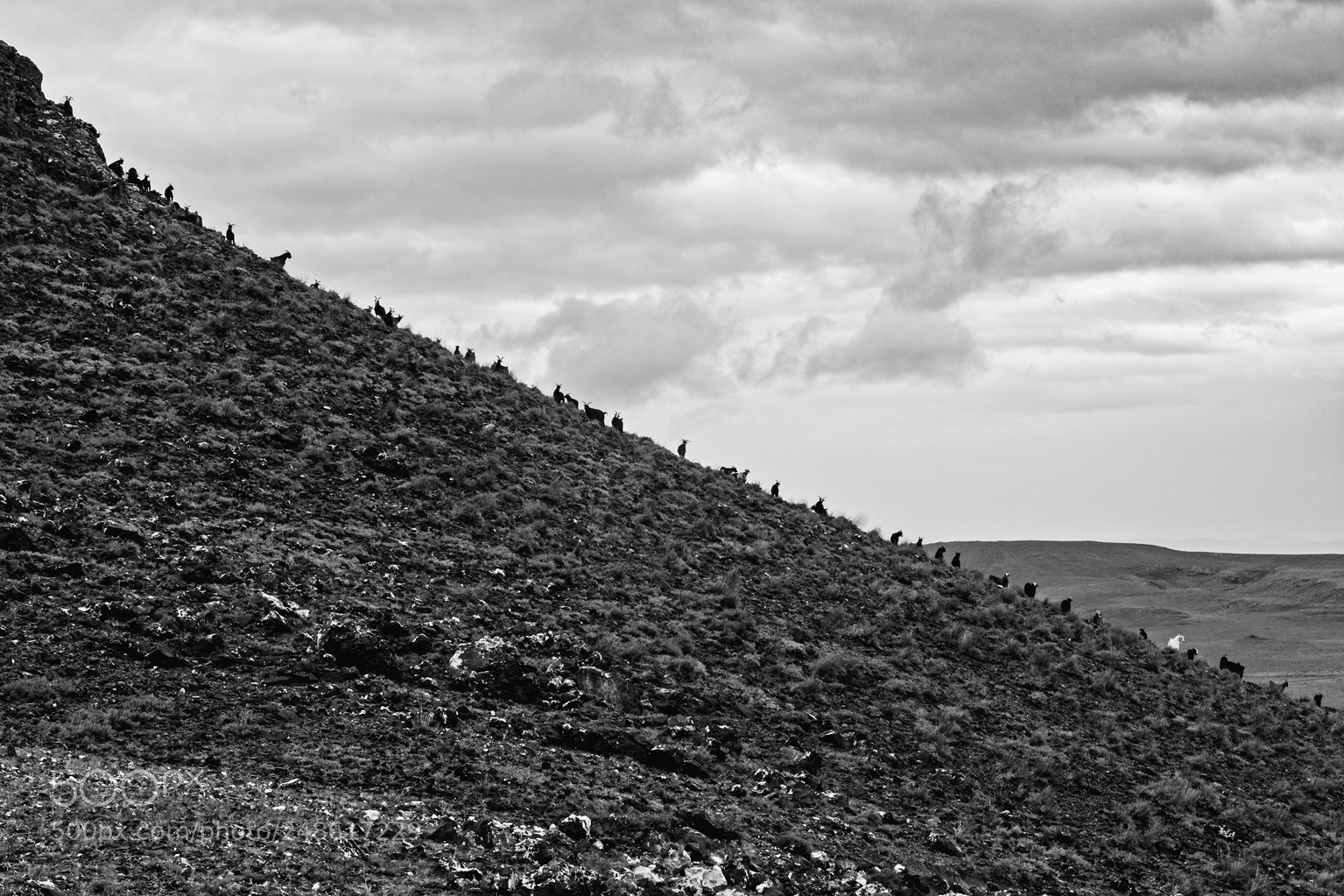 Nikon D7100 sample photo. Overlook photography