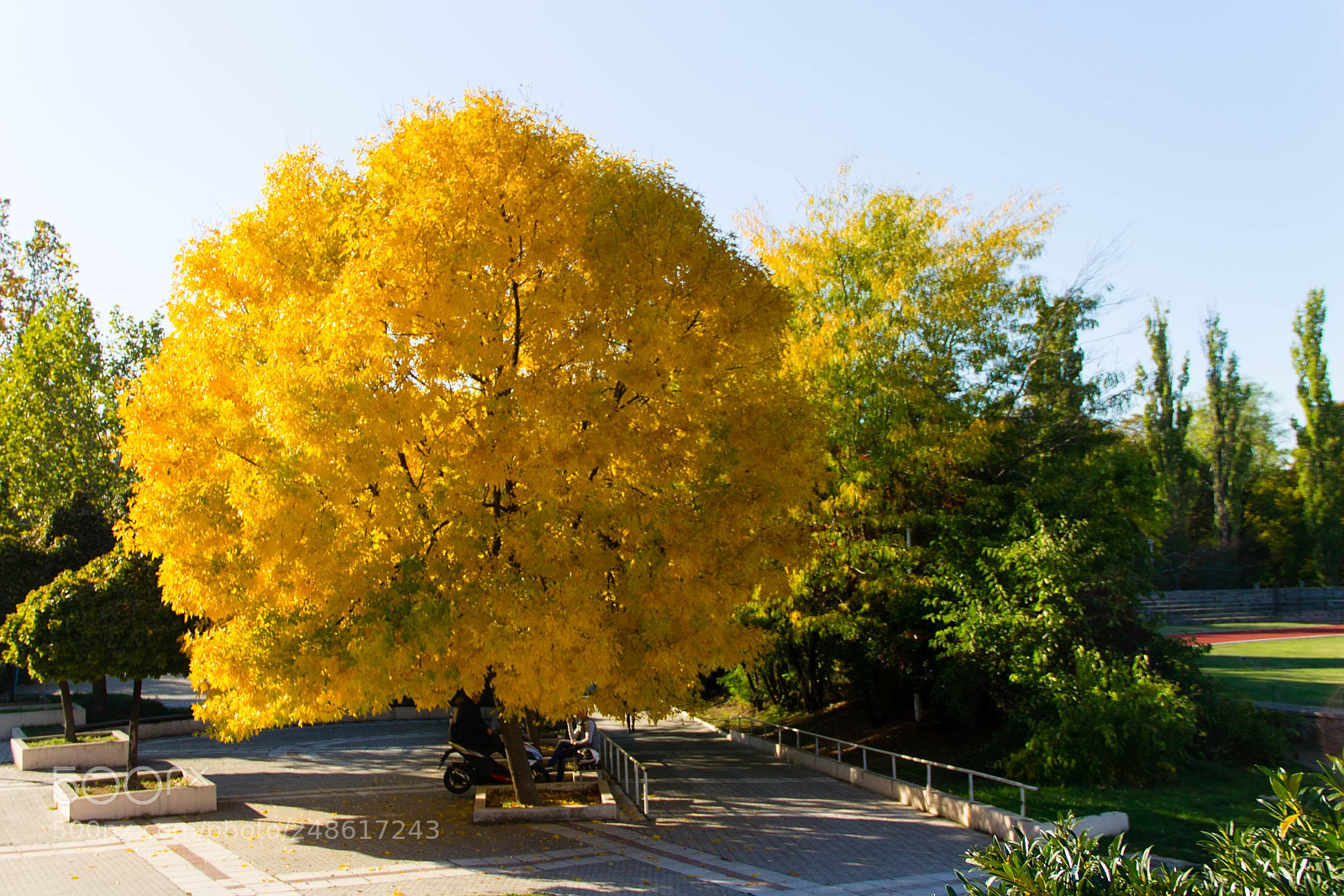 Canon EOS 1100D (EOS Rebel T3 / EOS Kiss X50) sample photo. Fall flame photography