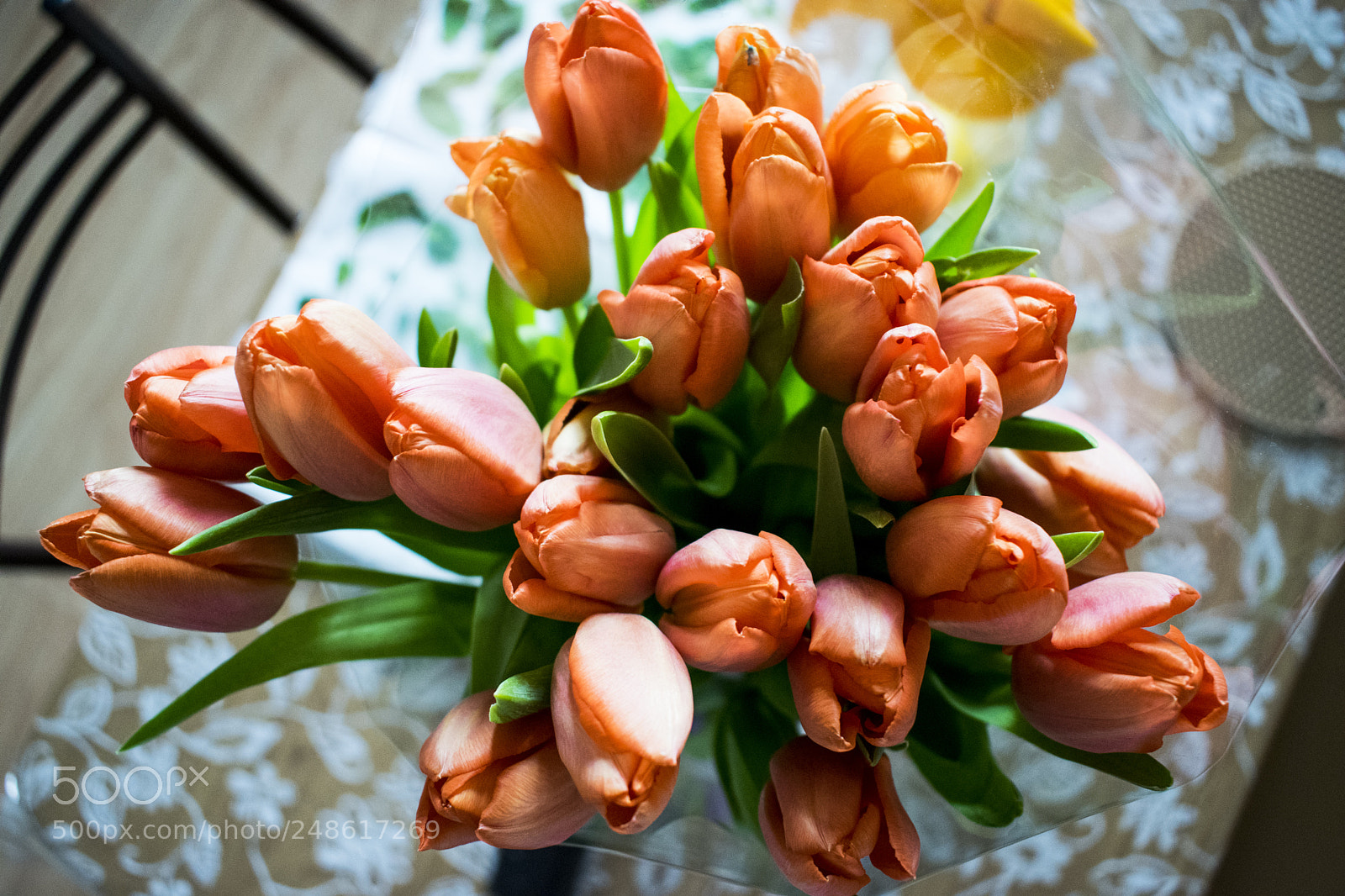 Nikon D5300 sample photo. Tulips photography