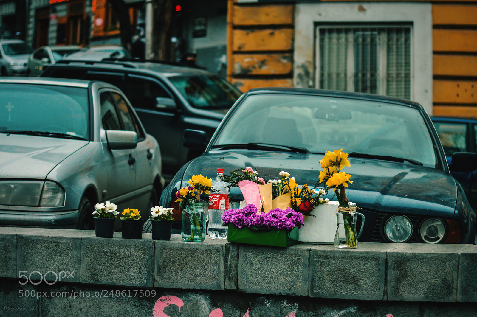 Nikon D3200 sample photo. Untitled photography