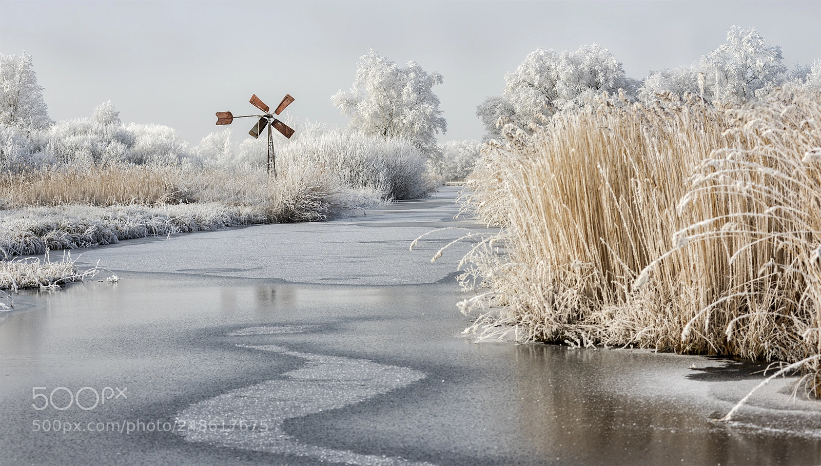 Nikon D810 sample photo. National park de weerribben photography