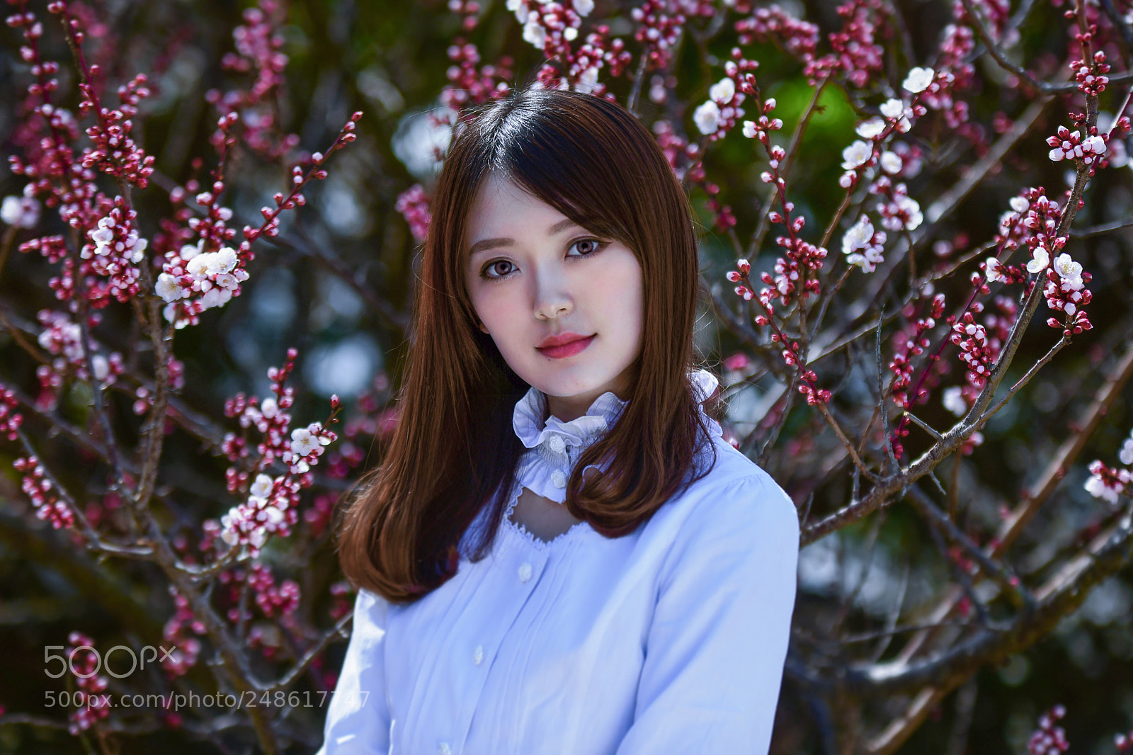 Nikon D850 sample photo. Airi 2 photography