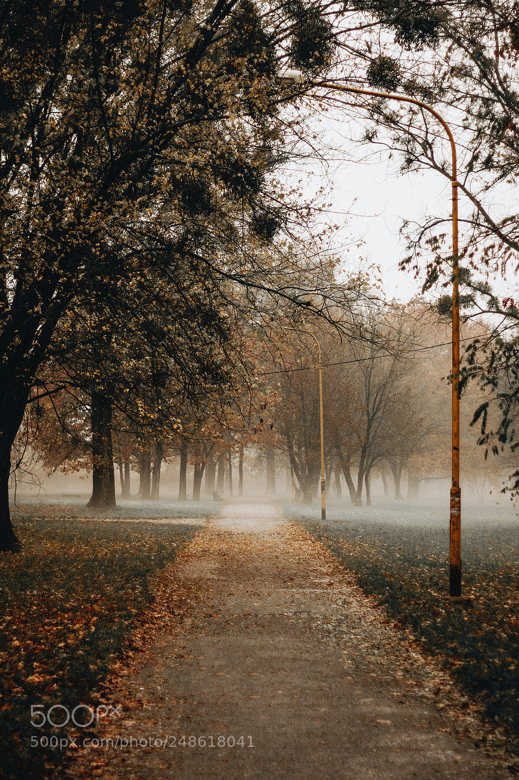 Canon EOS 60D sample photo. Moody weather is my photography
