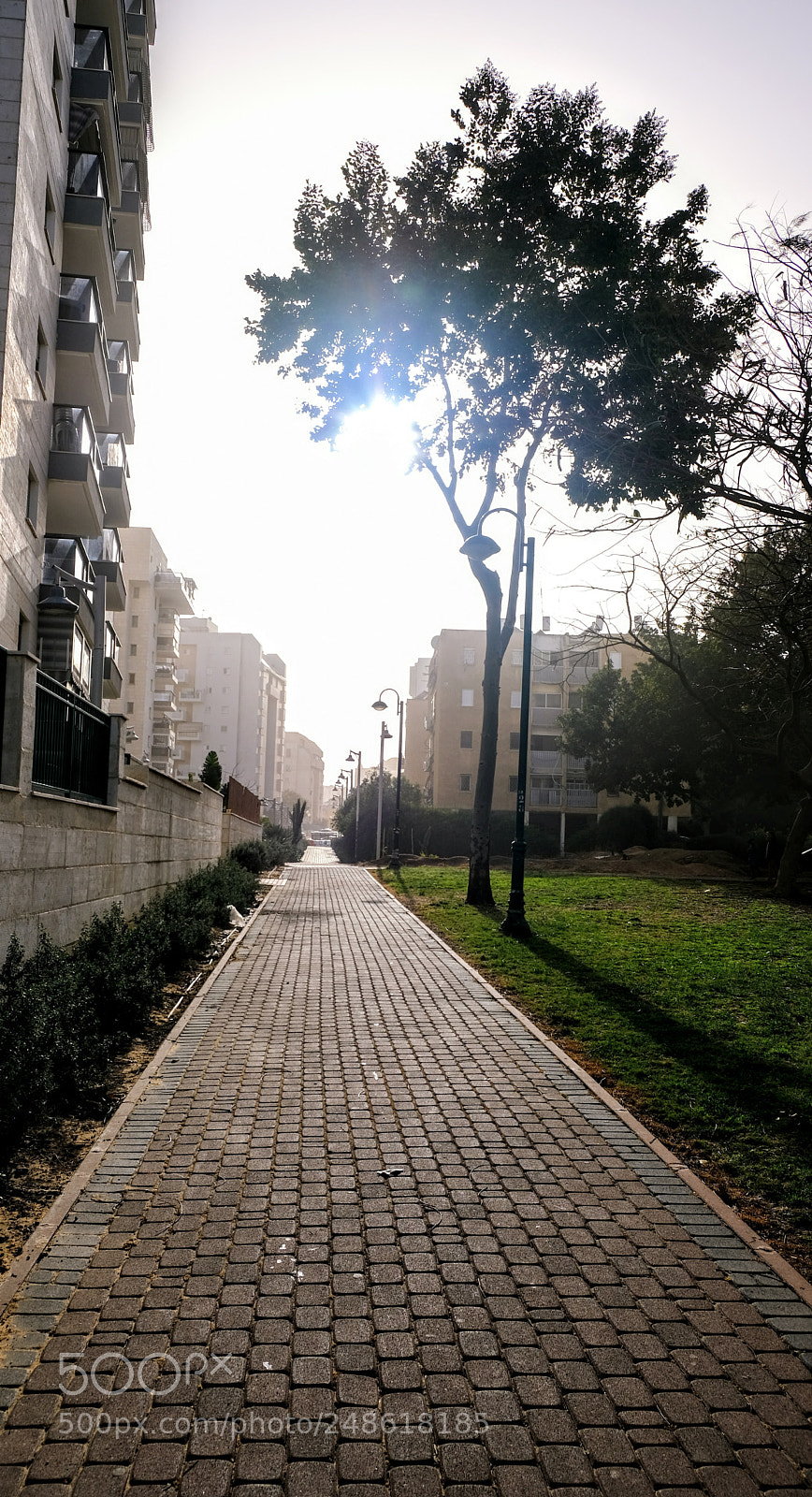 Fujifilm X-T20 sample photo. Take me home... photography