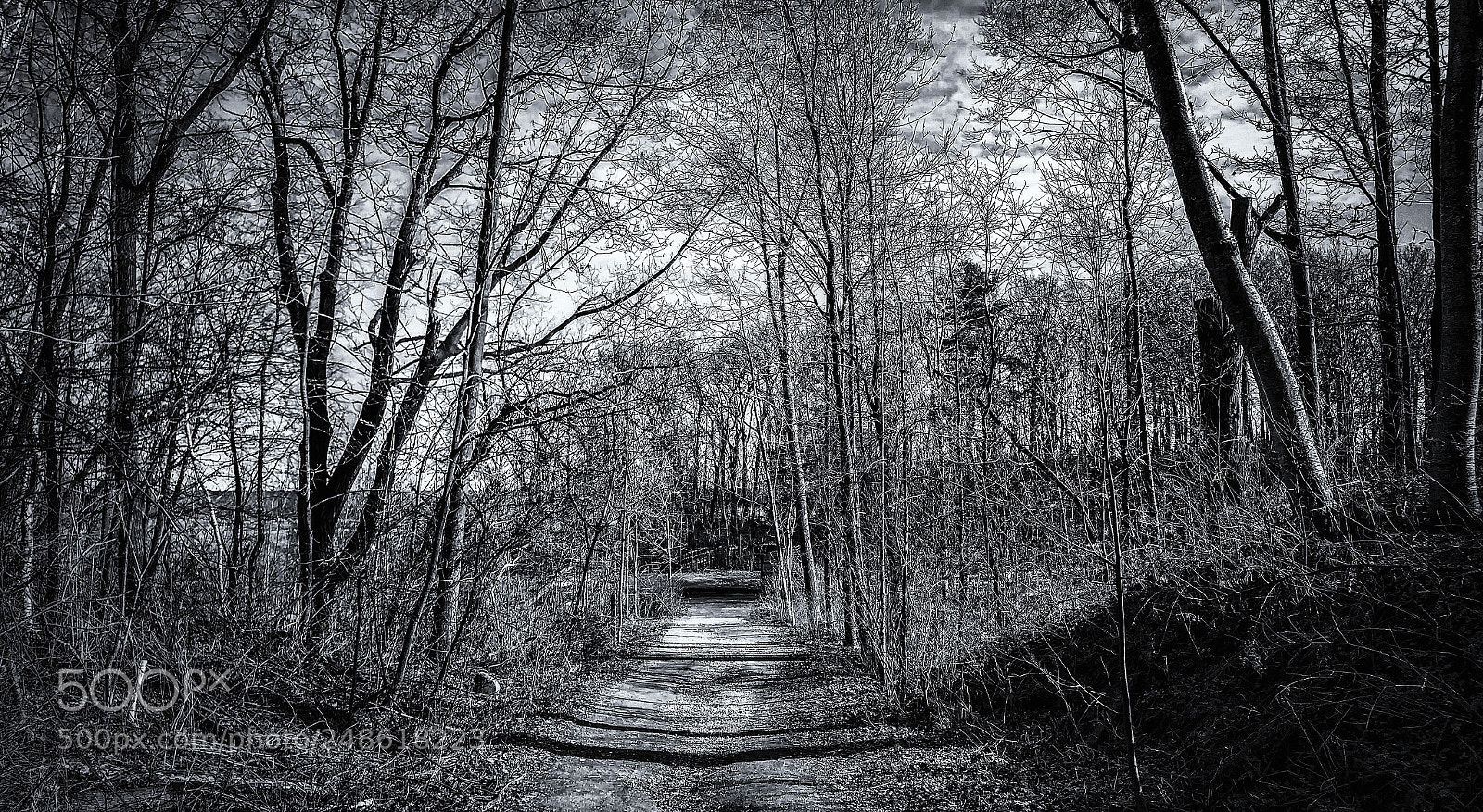 LG G5 sample photo. Rattray marsh photography