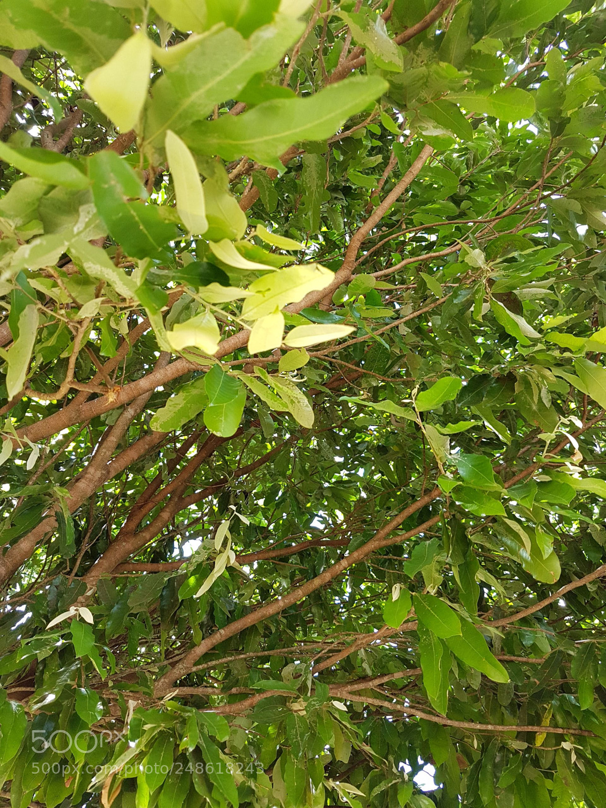 Samsung Galaxy S7 sample photo. Untitled photography