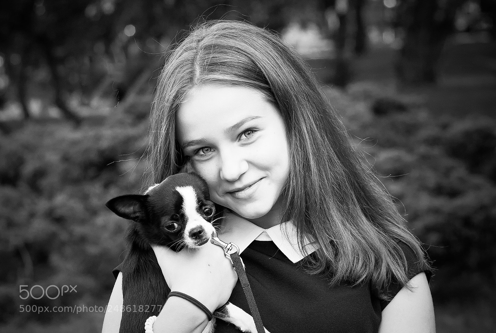 Canon EOS 5D sample photo. Little dog friend photography