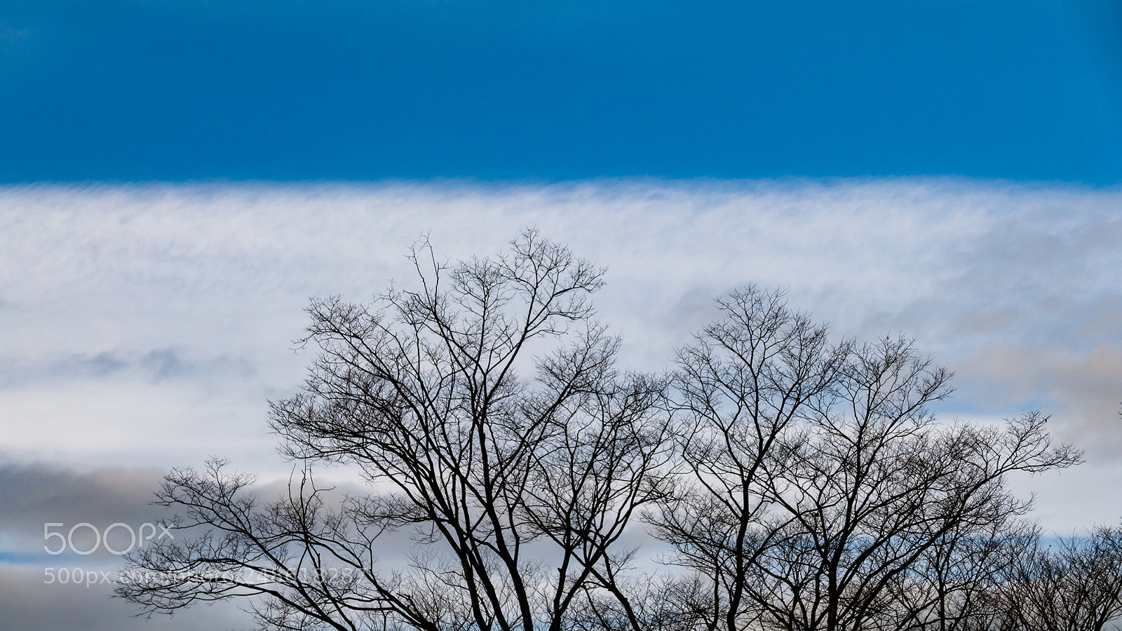 Panasonic Lumix DMC-LX100 sample photo. Divided sky photography