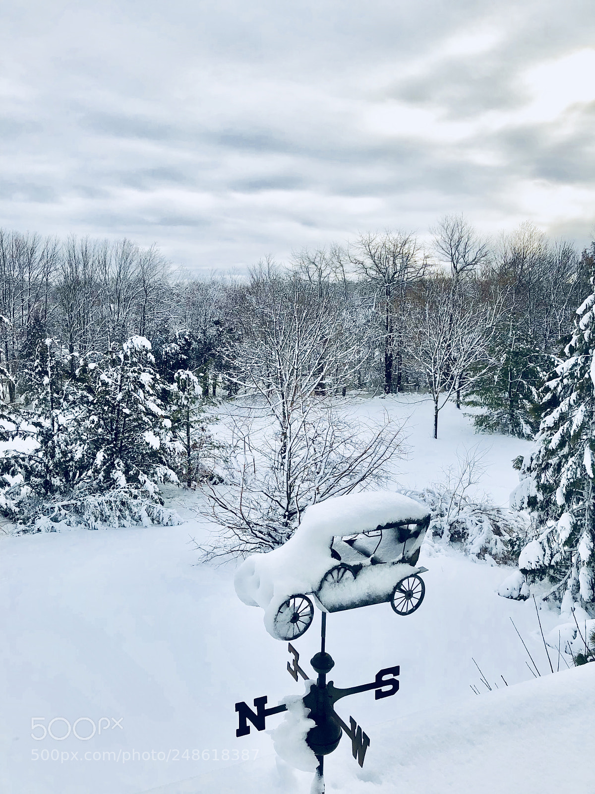 Apple iPhone X sample photo. Snowy day photography