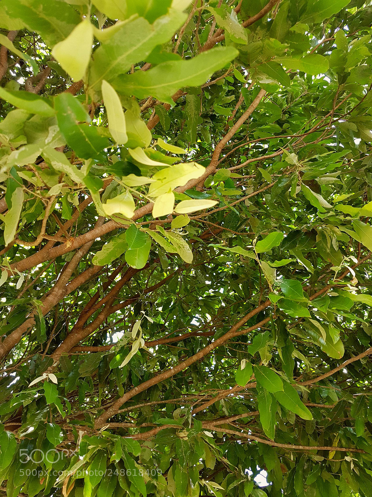 Samsung Galaxy S7 sample photo. Untitled photography