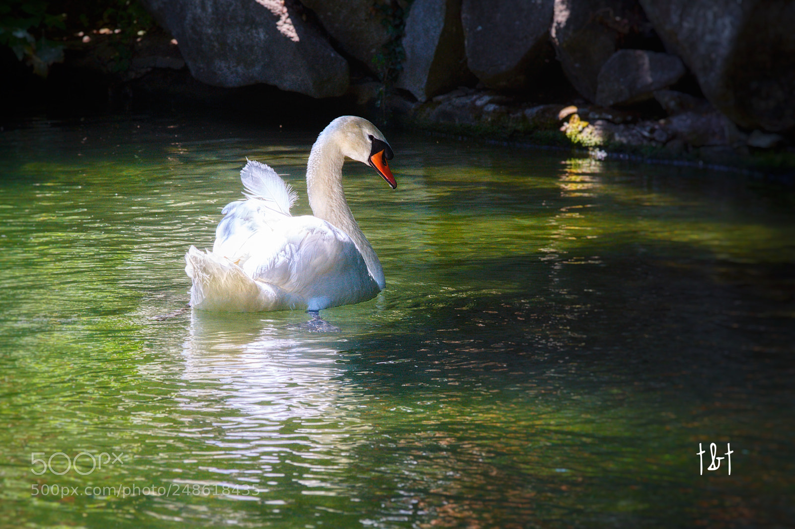 Canon EOS 7D sample photo. Untitled photography
