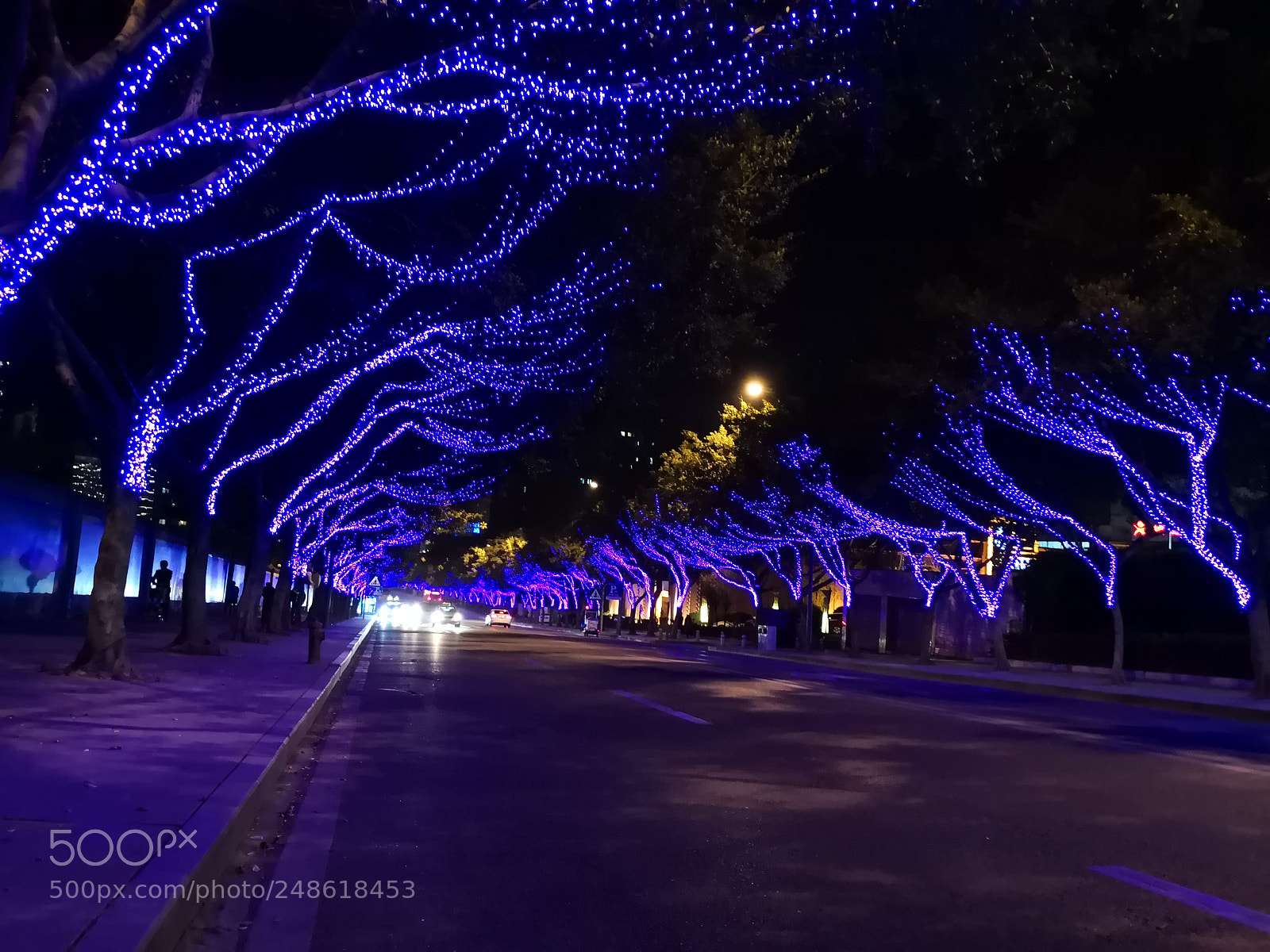 HUAWEI Mate 10 sample photo. Untitled photography
