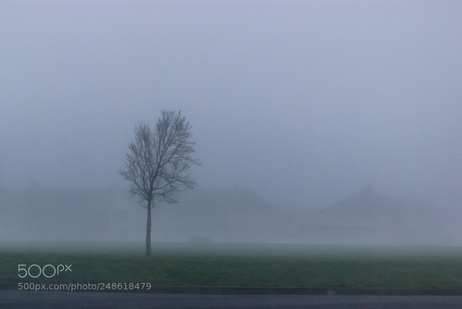 Nikon D80 sample photo. Misty day photography