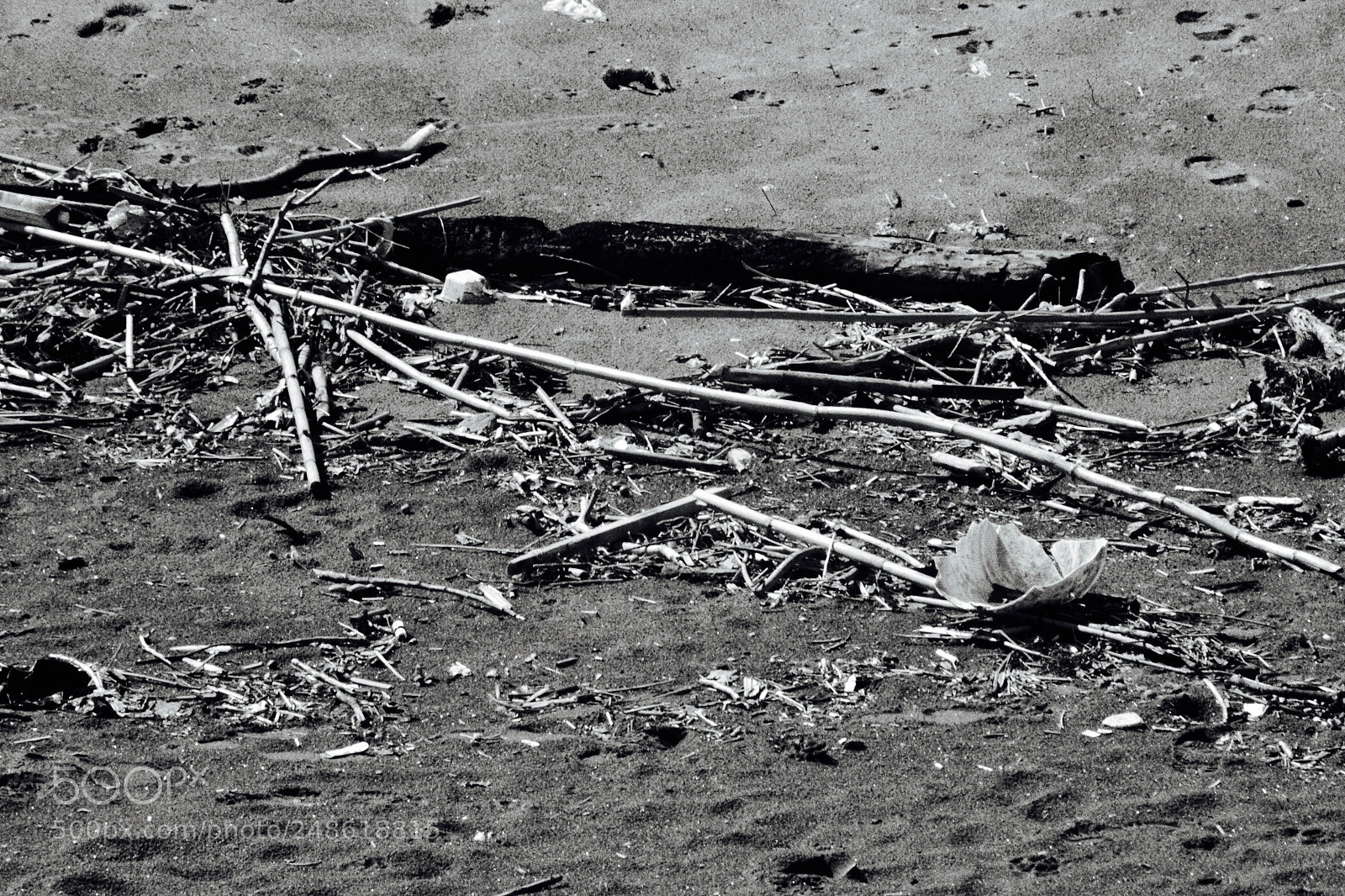 Nikon D3100 sample photo. Il mare restituisce photography