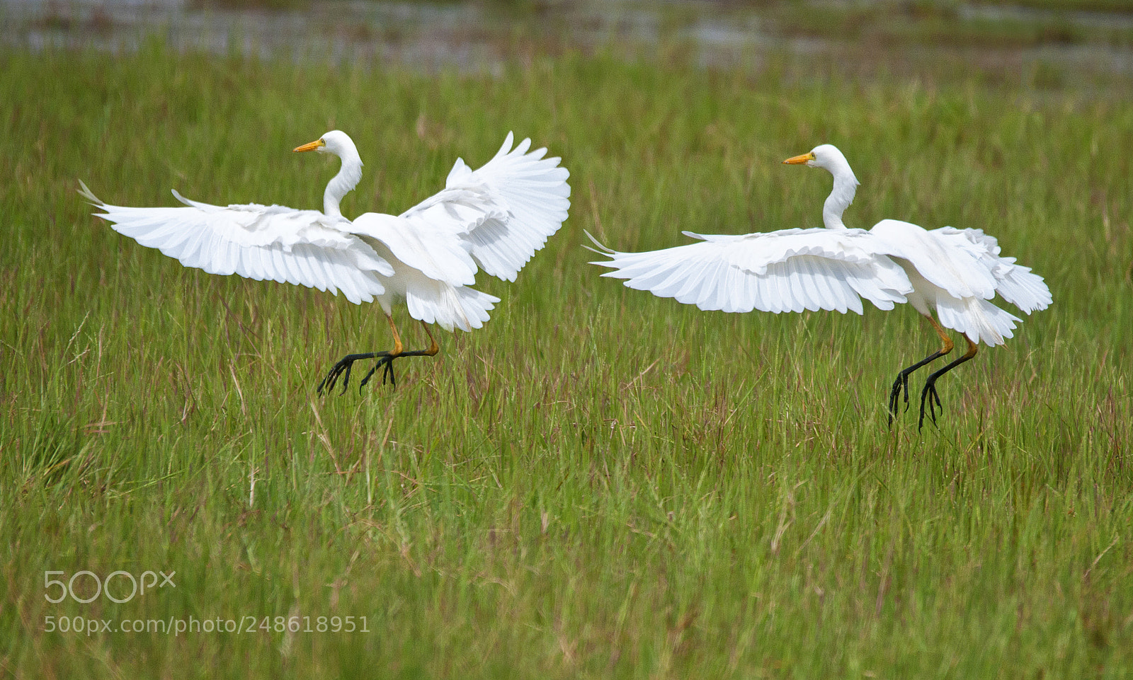 Nikon D300S sample photo. Airobics photography