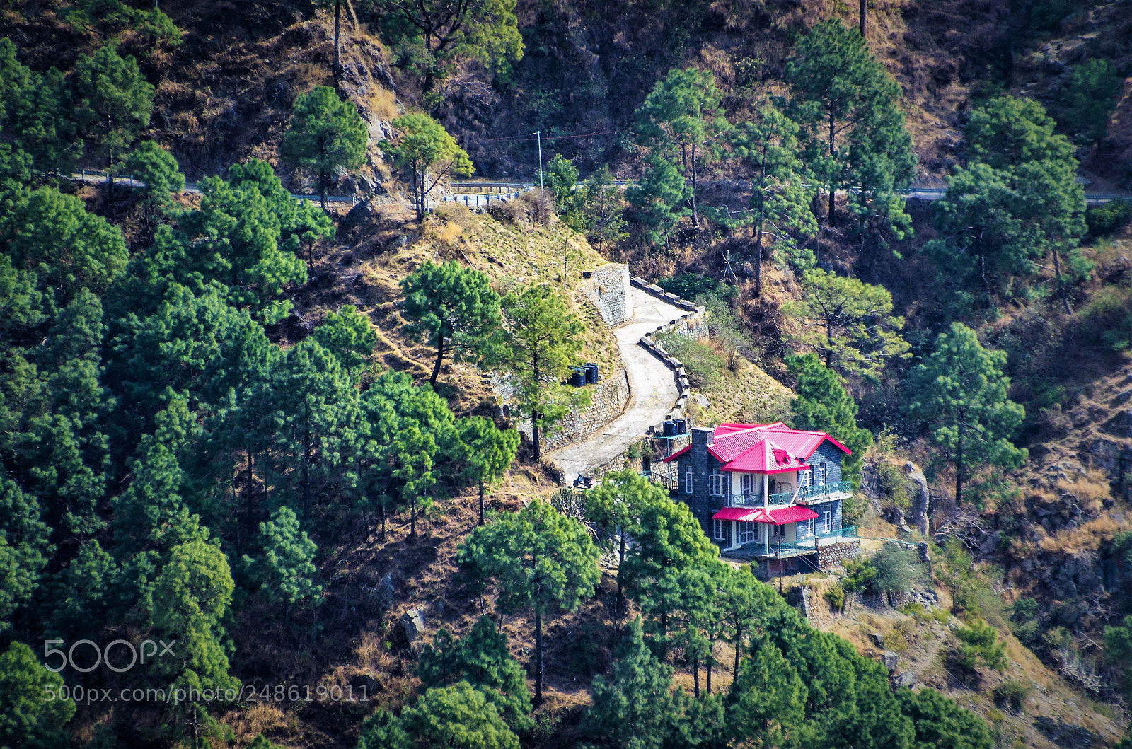 Nikon D5100 sample photo. Cozy photography