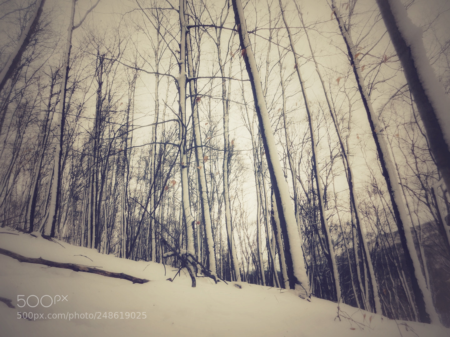 Nikon Coolpix B500 sample photo. Snowy mountainside photography