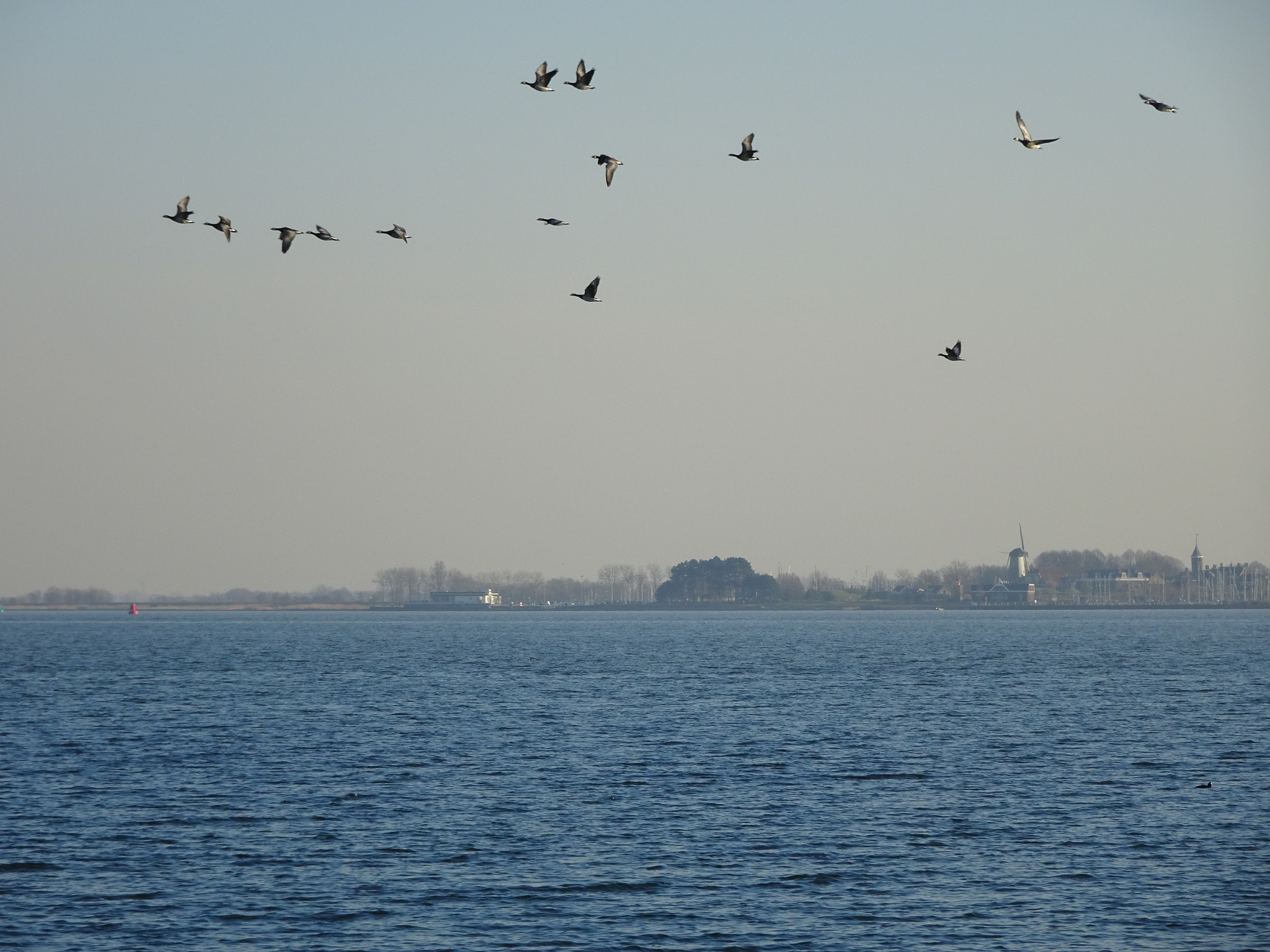 Sony Cyber-shot DSC-WX500 sample photo. Wandelen () photography